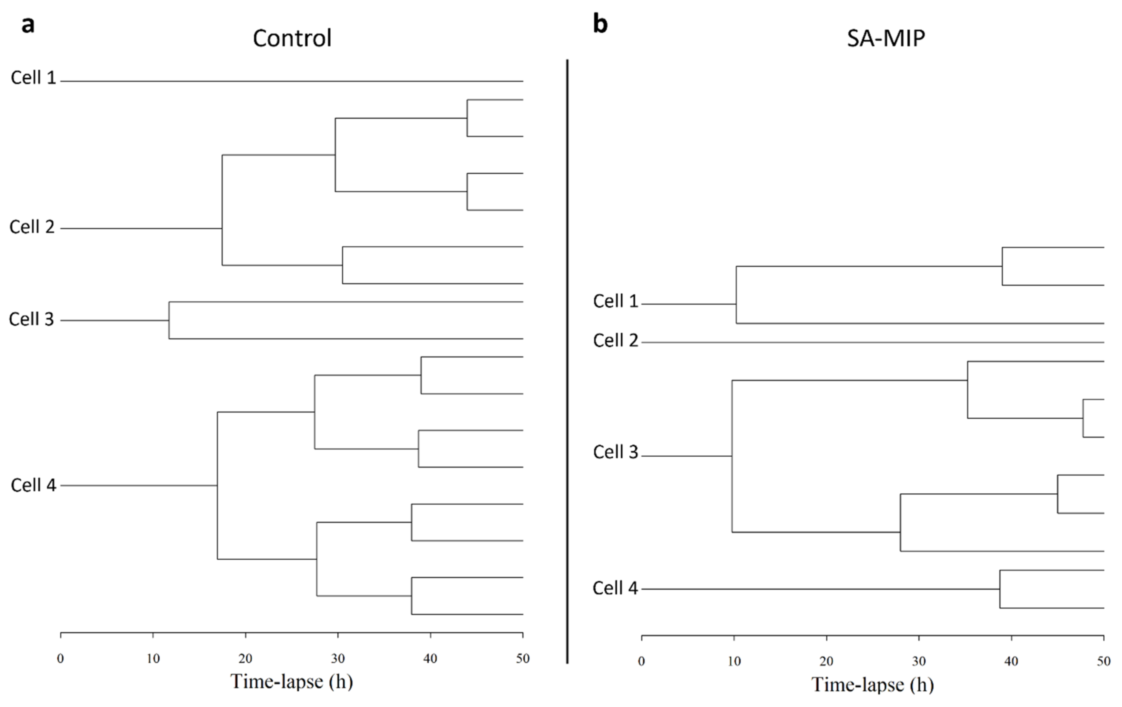 Applsci 12 06091 g007