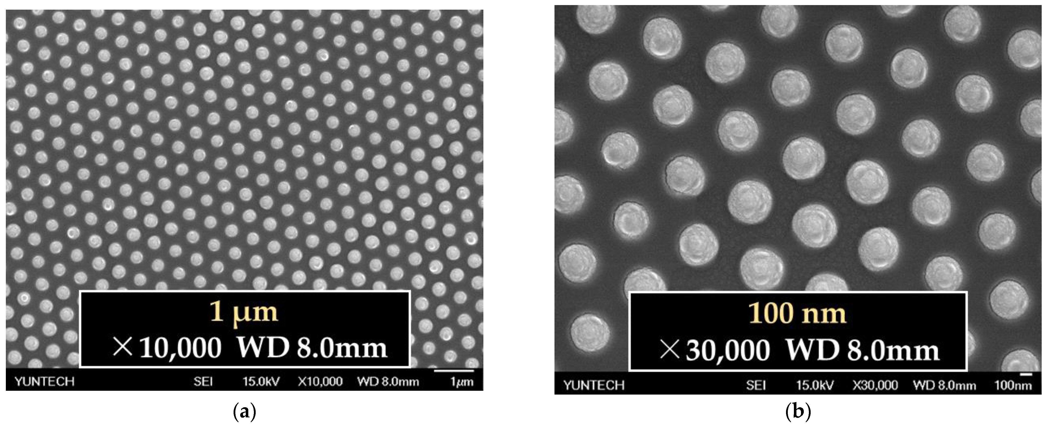 Applsci 12 06365 g005