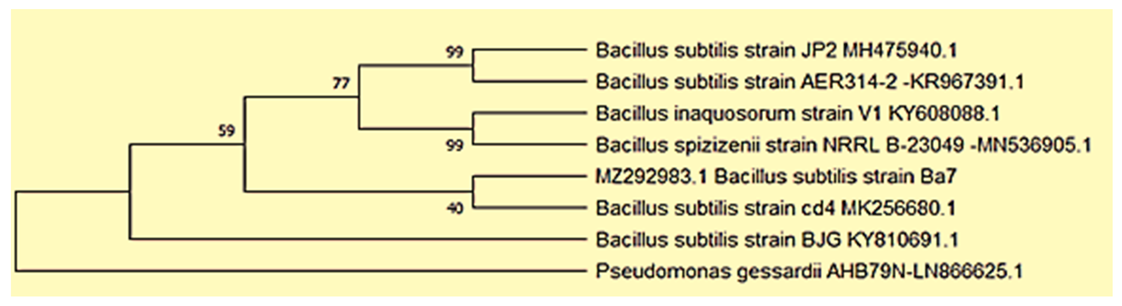 Applsci 12 06413 g001