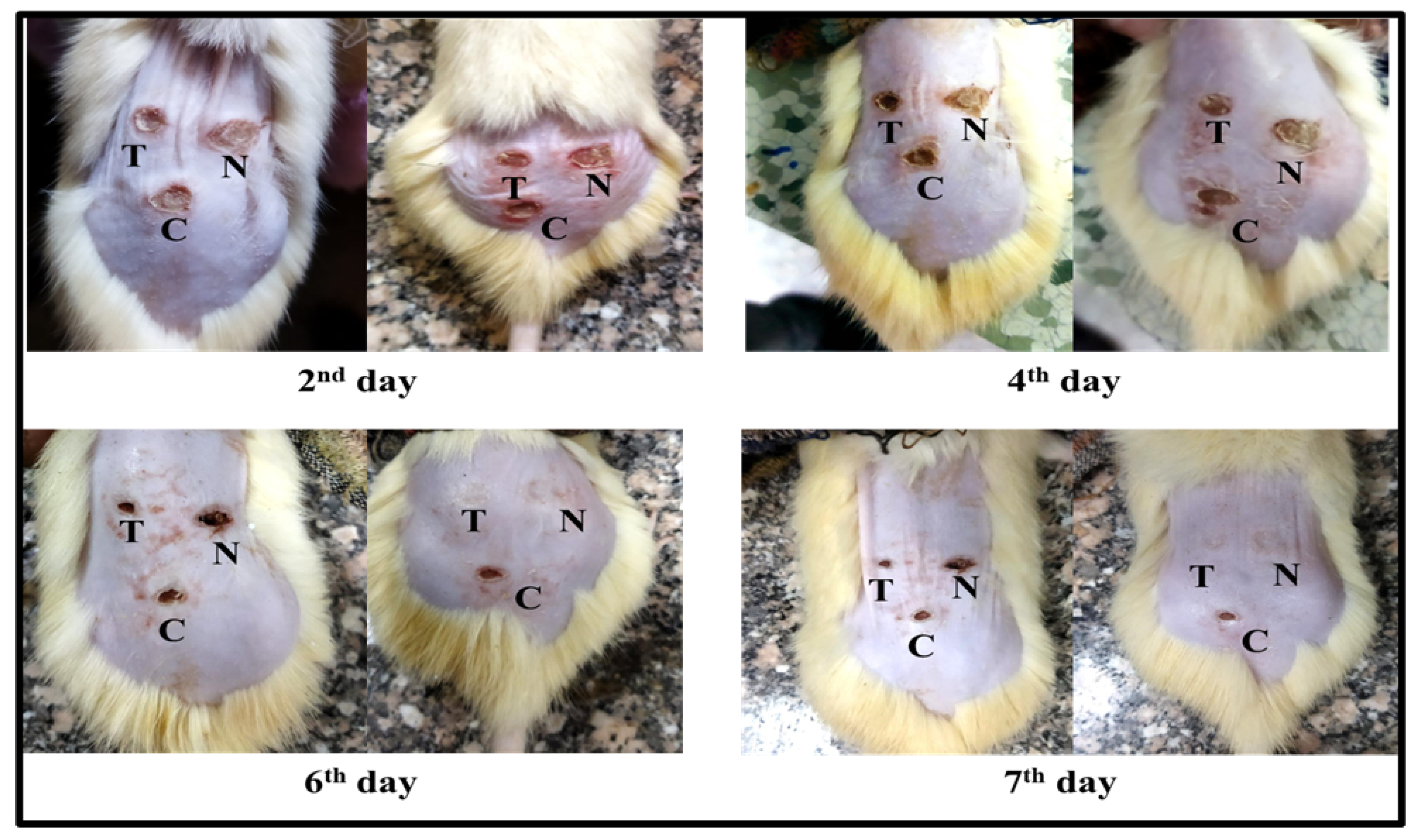 Applsci 12 06413 g006