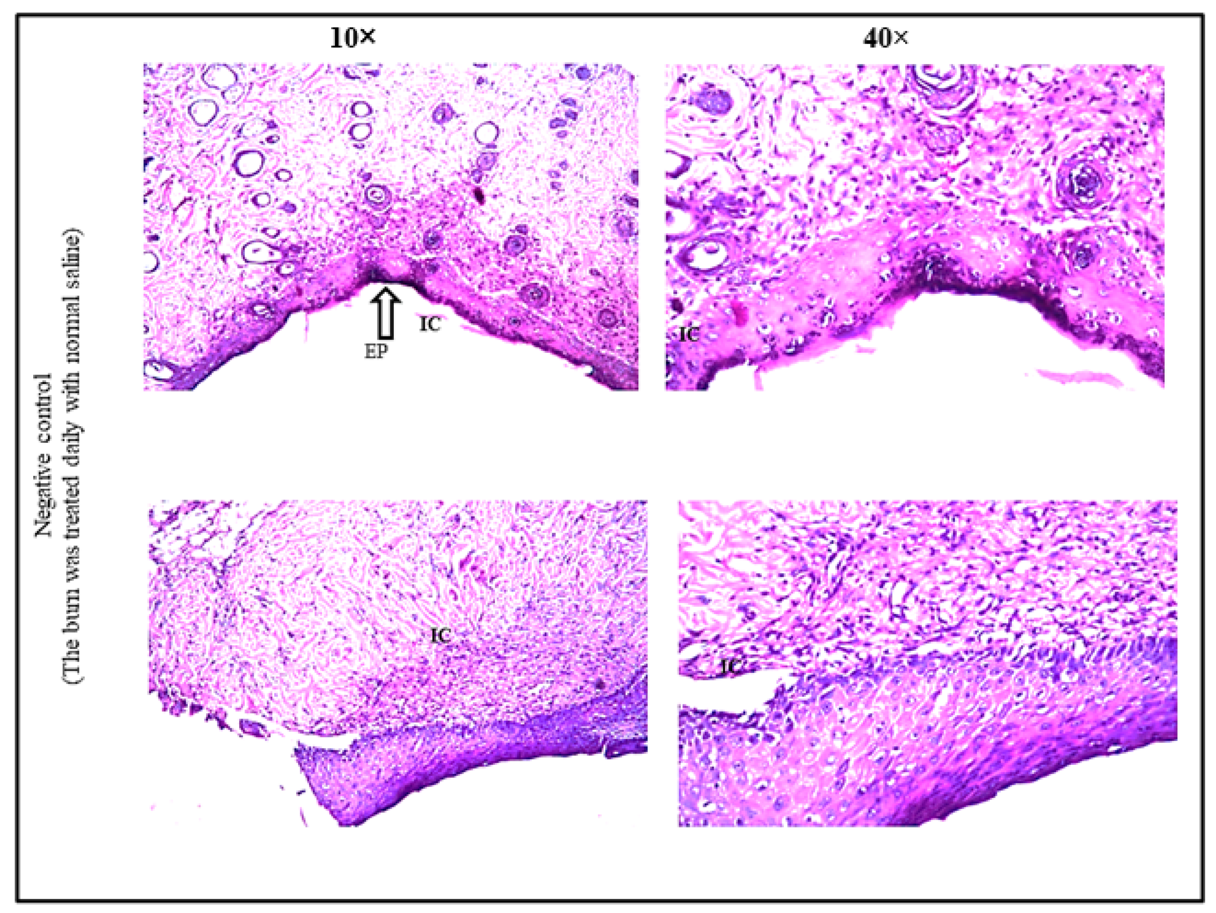 Applsci 12 06413 g007