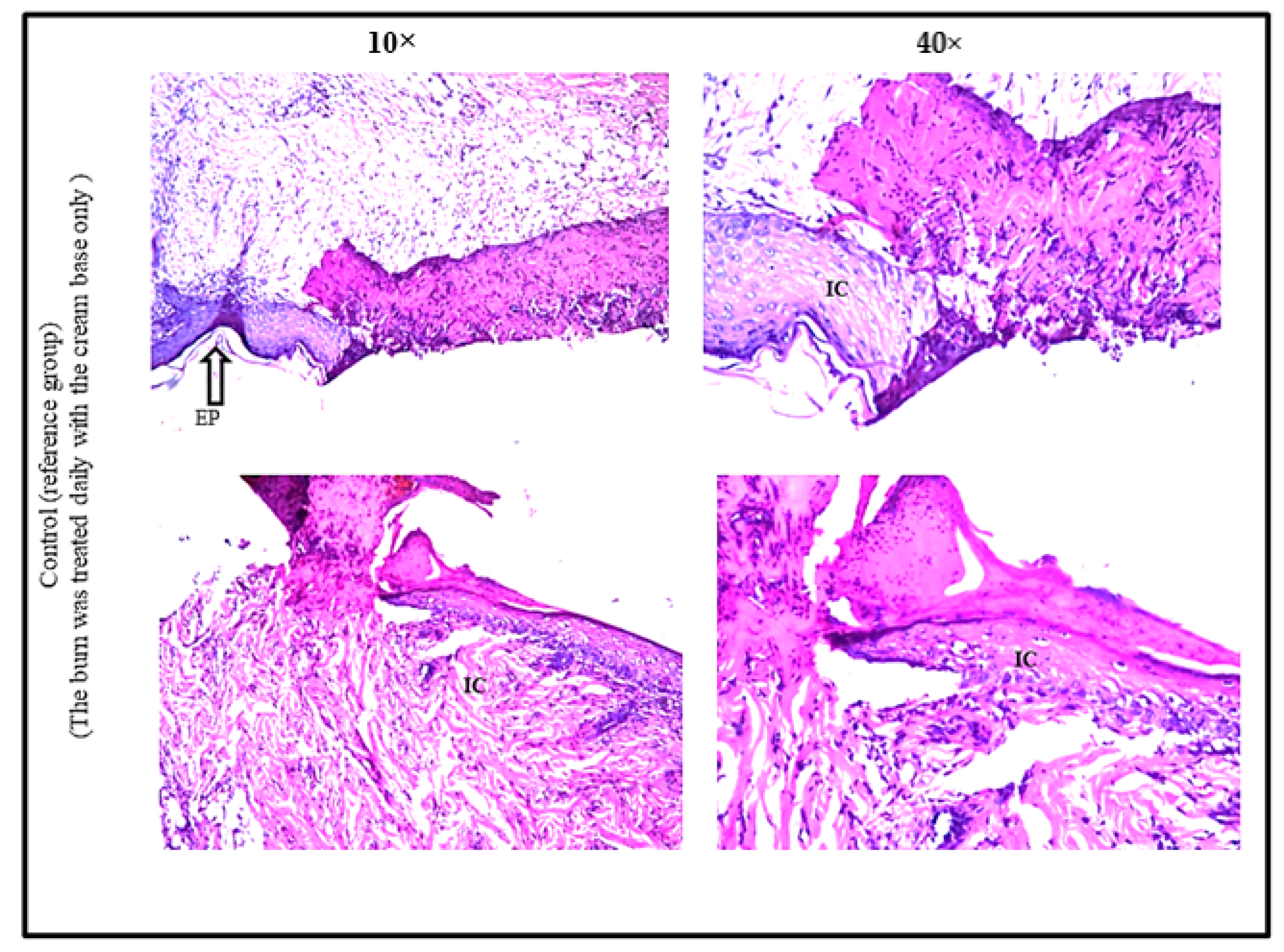 Applsci 12 06413 g008