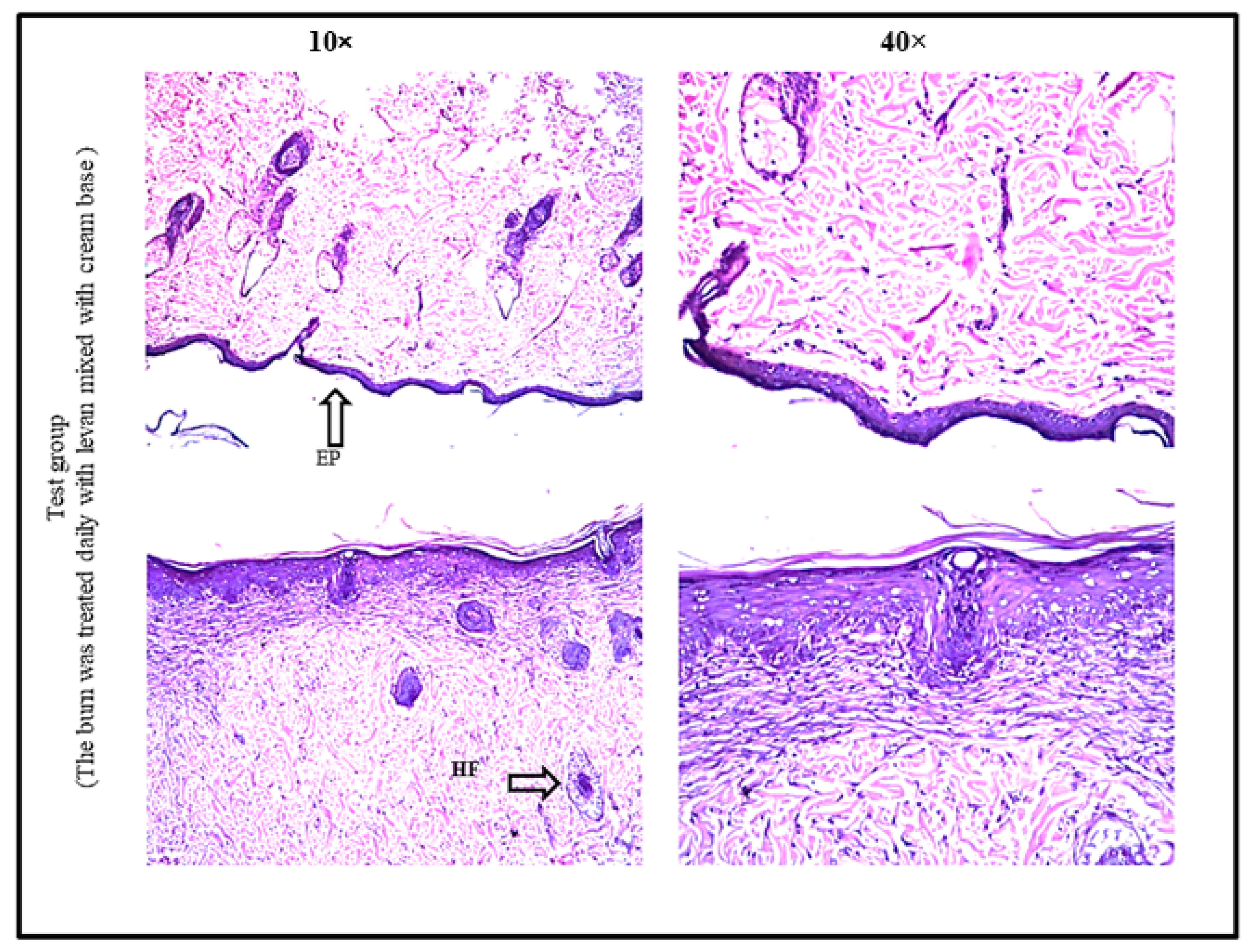 Applsci 12 06413 g009