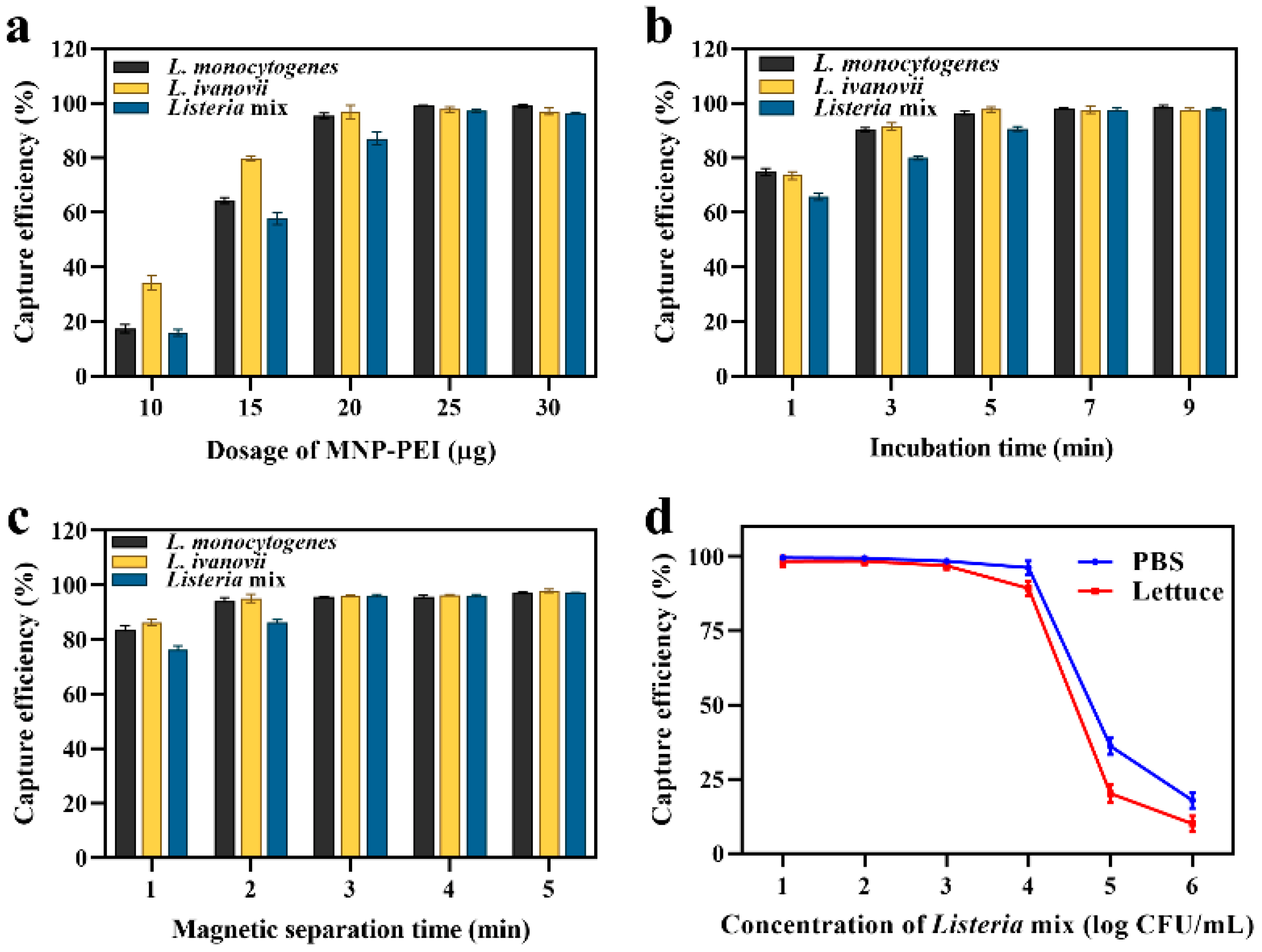 Applied Sciences | Free Full-Text | Rapid-Response Magnetic Enrichment  Strategy for Significantly Improving Sensitivity of Multiplex PCR Analysis  of Pathogenic Listeria Species | HTML