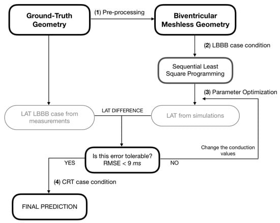 KIT - About Us - Team - Researchers - Modeling, Simulation and Optimization  of the Contraction of the Human Heart