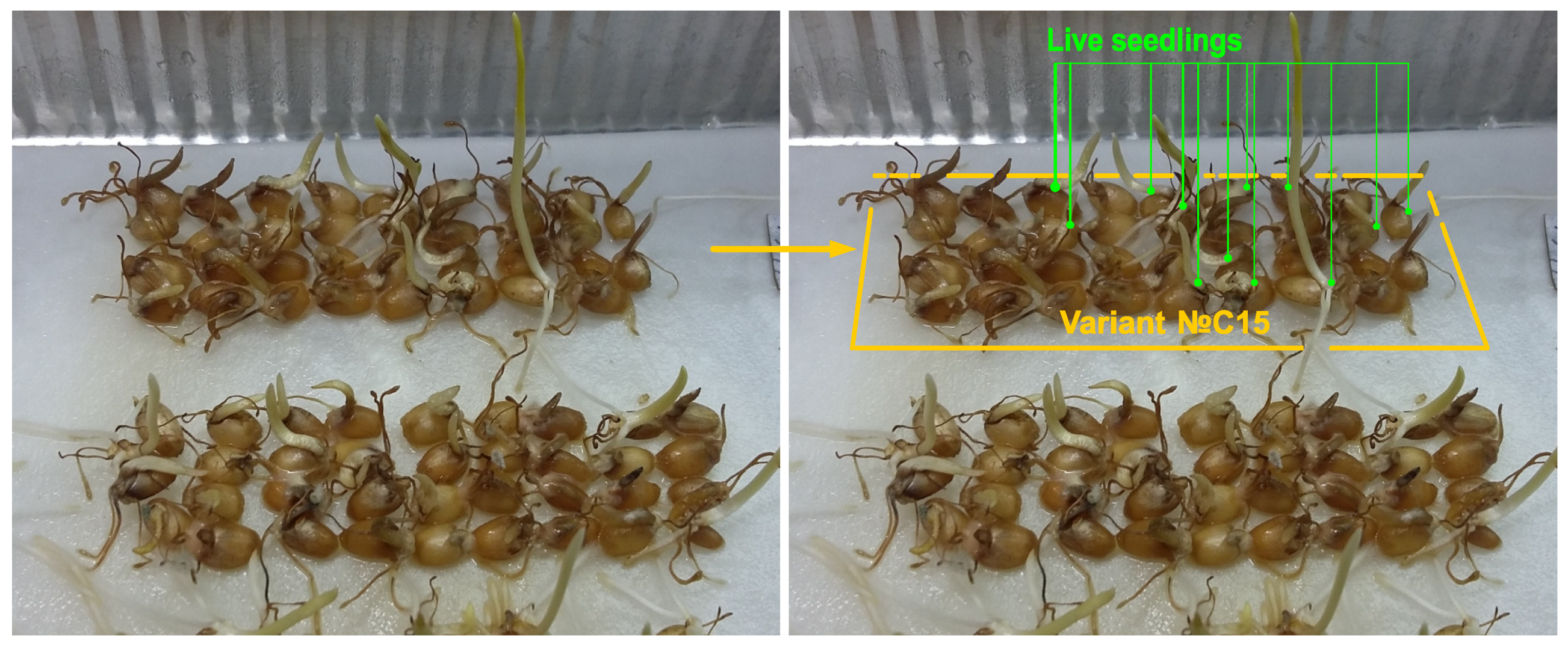 Applsci 12 06447 g004