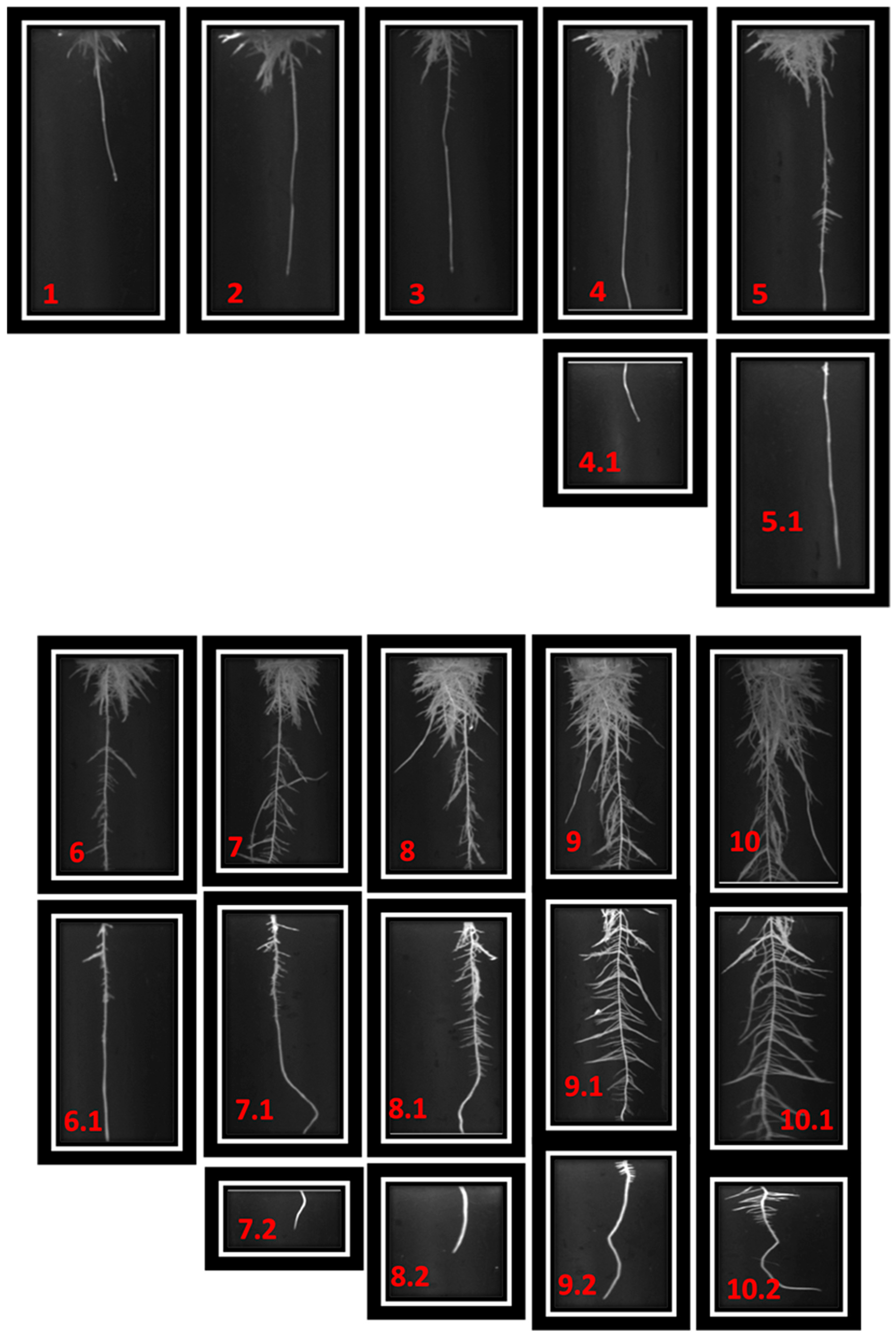 Applsci 12 06540 g007