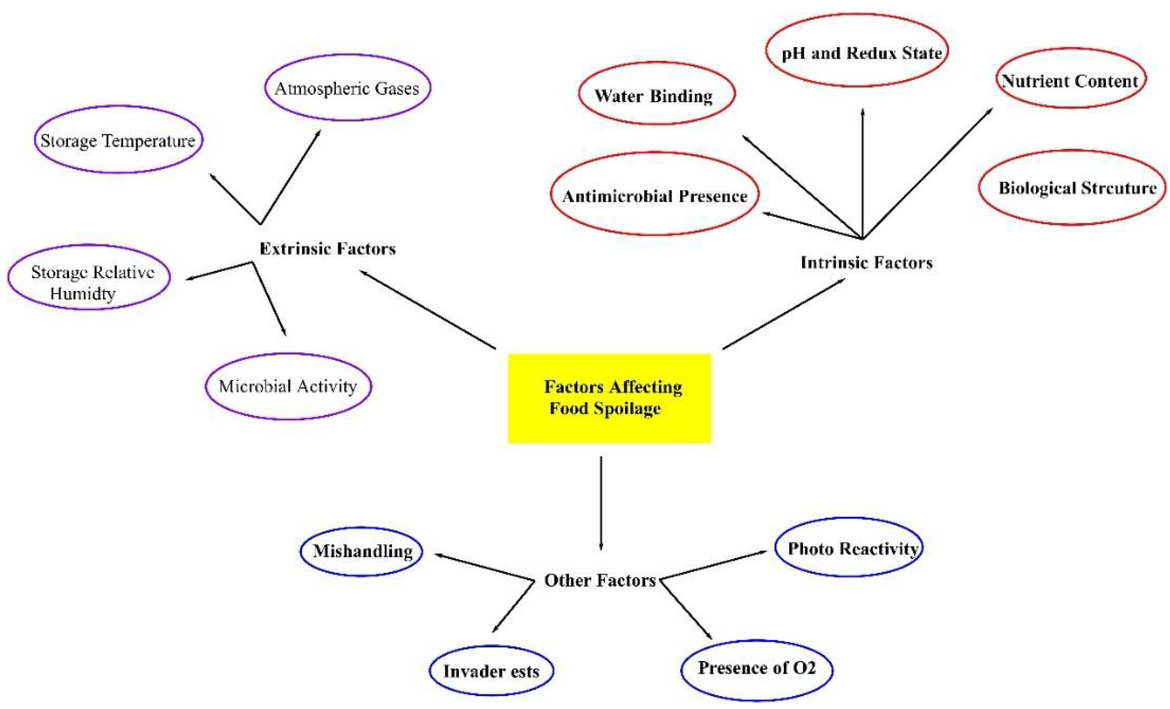 Applsci 12 06639 g002