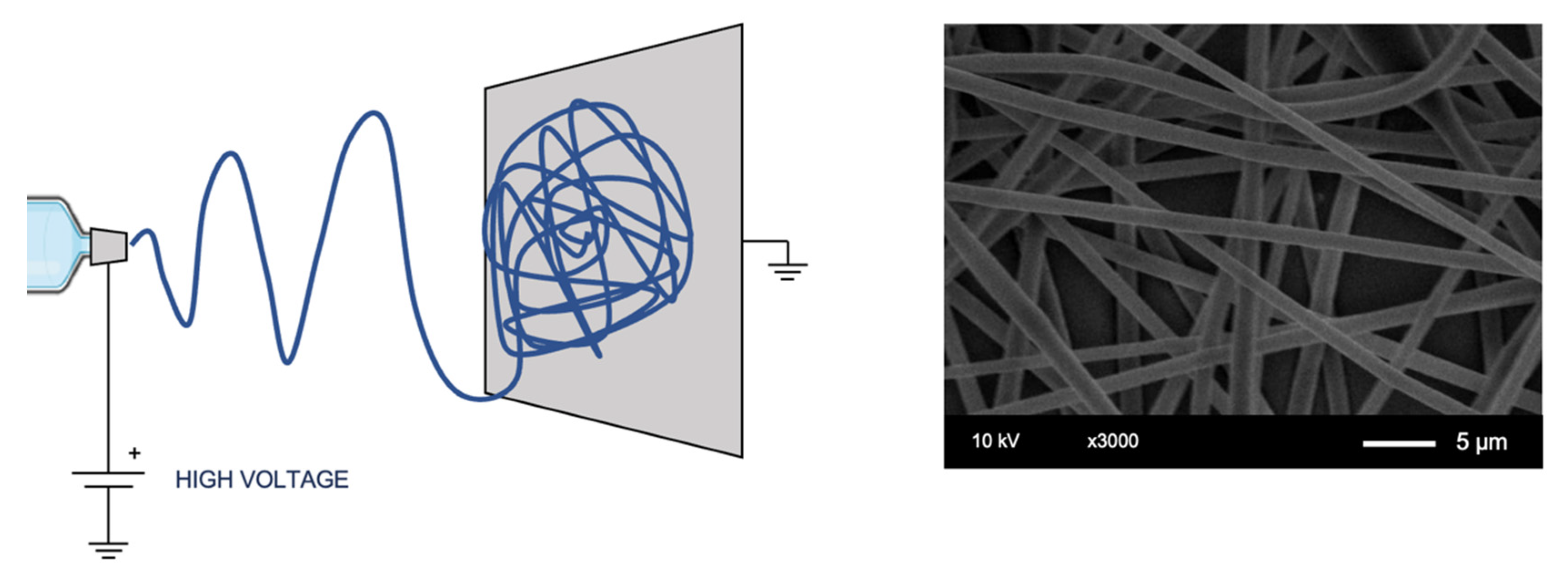 Applsci 12 06771 g003