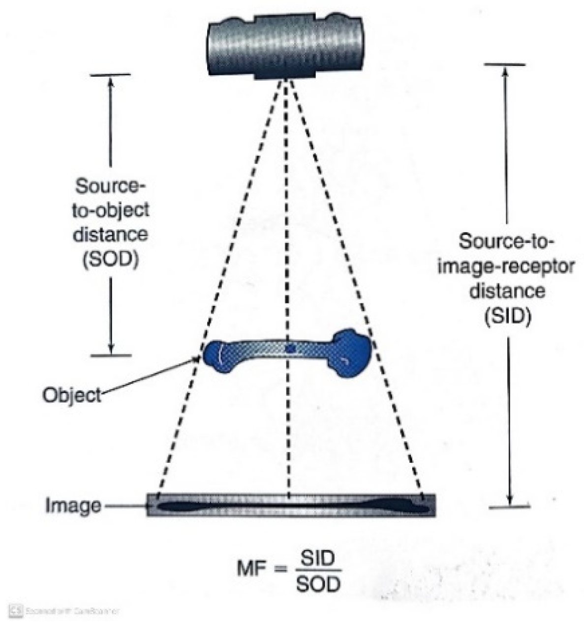 Applsci 12 06861 g003