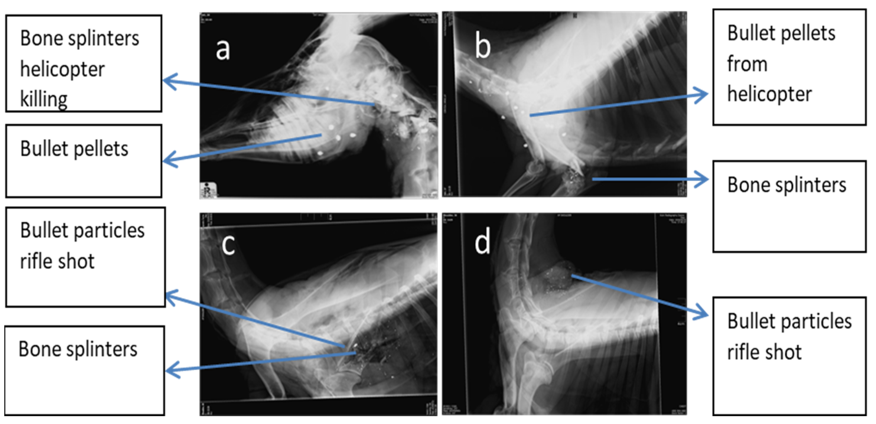 Applsci 12 06861 g004