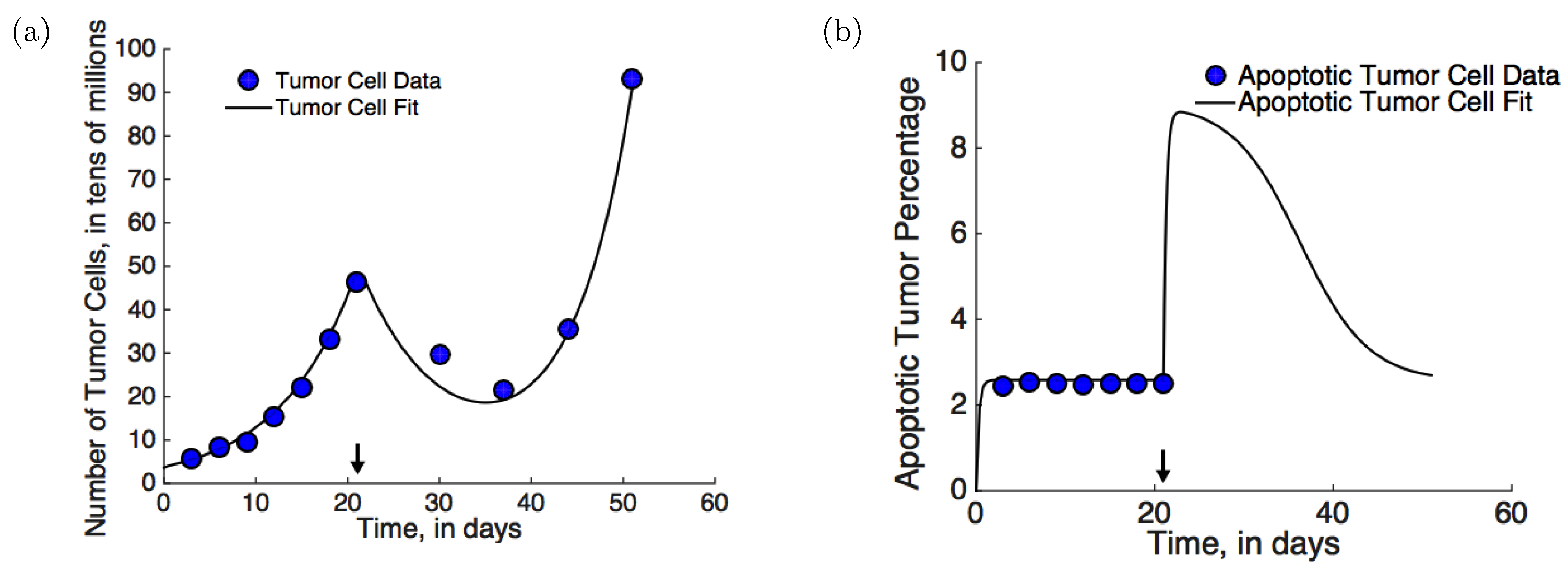 Applsci 12 06954 g002