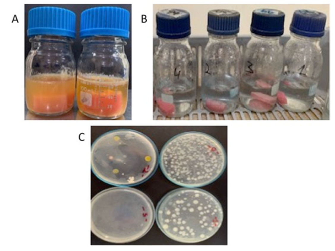 Applsci 12 07004 g002 Applsci 12 07004 g002