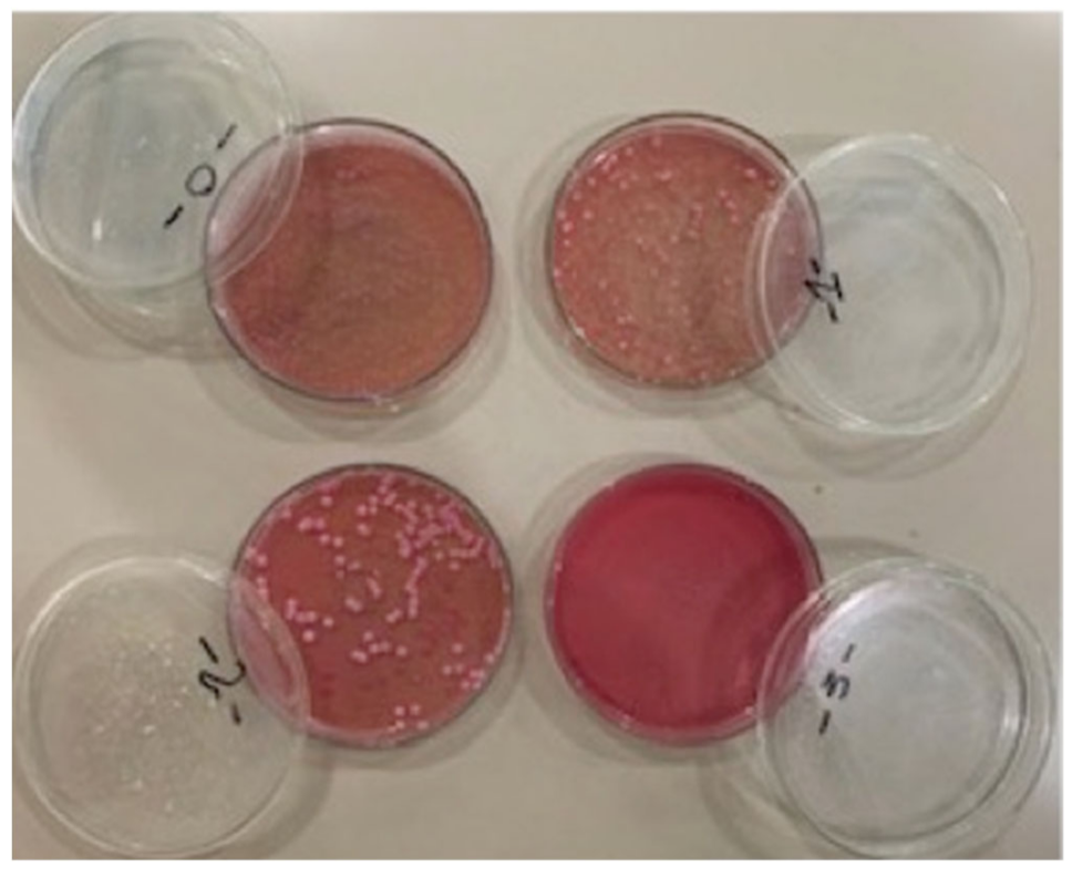 Applsci 12 07004 g004 Applsci 12 07004 g004