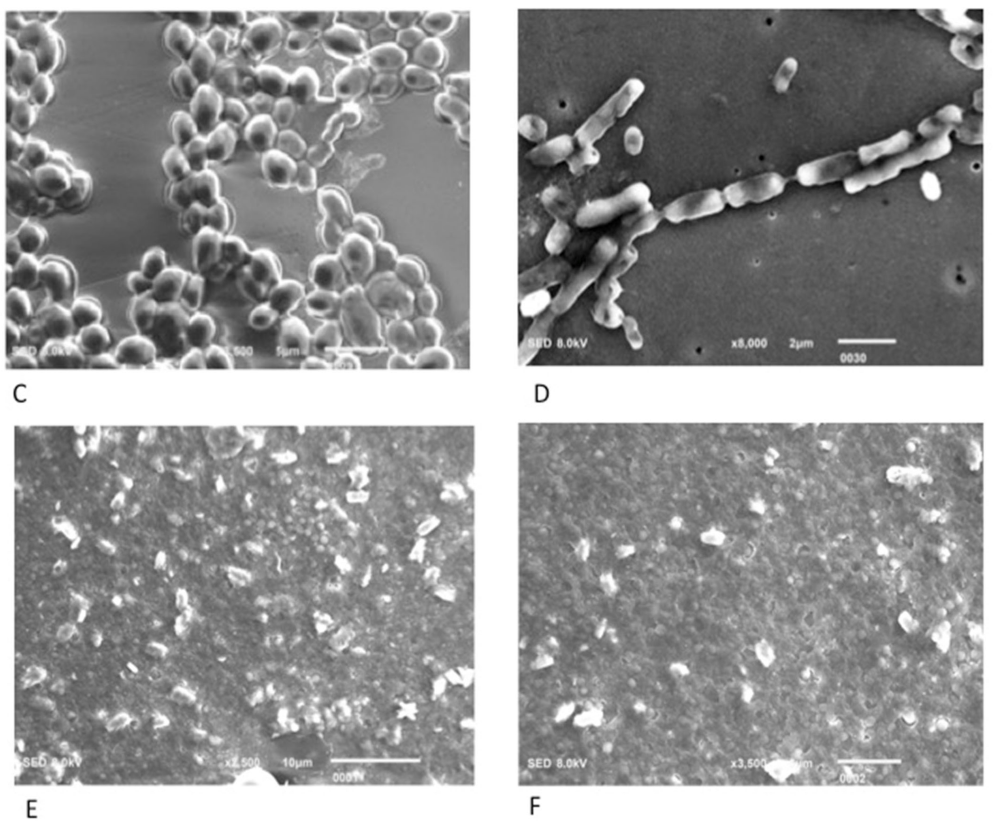 Applsci 12 07004 g006b Applsci 12 07004 g006b