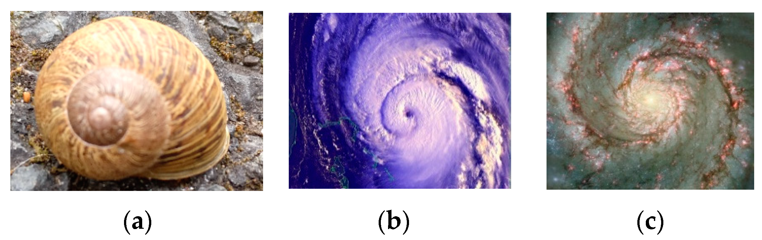 Applsci 12 07018 g004