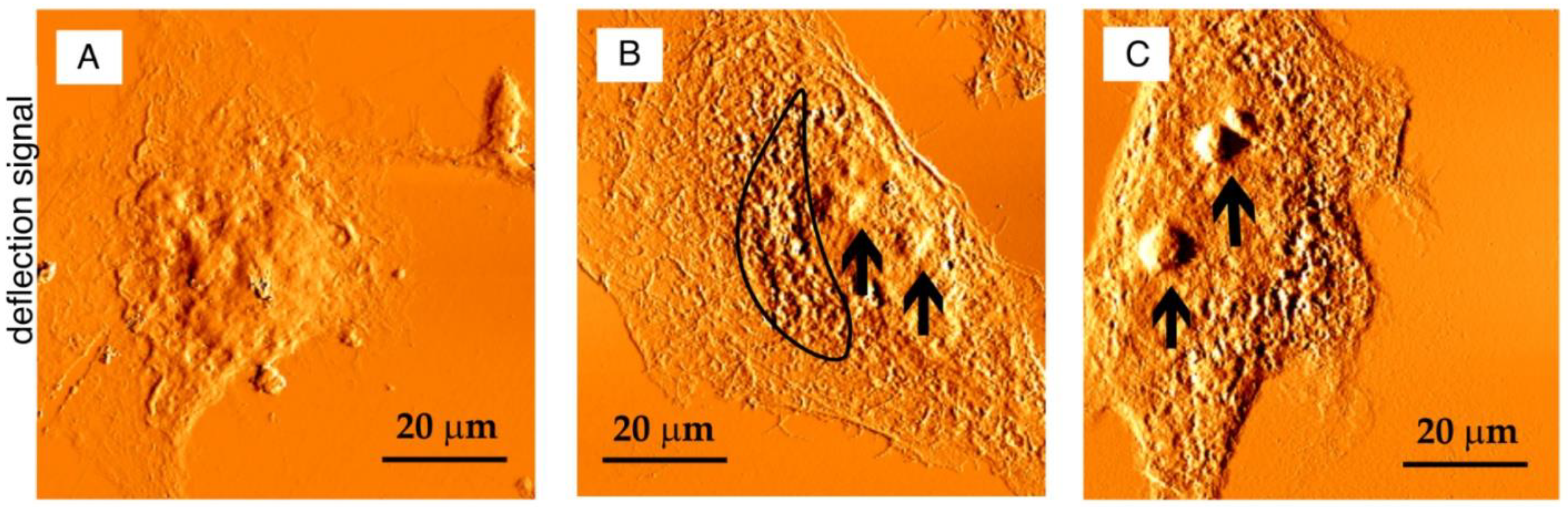 Applsci 12 07030 g003
