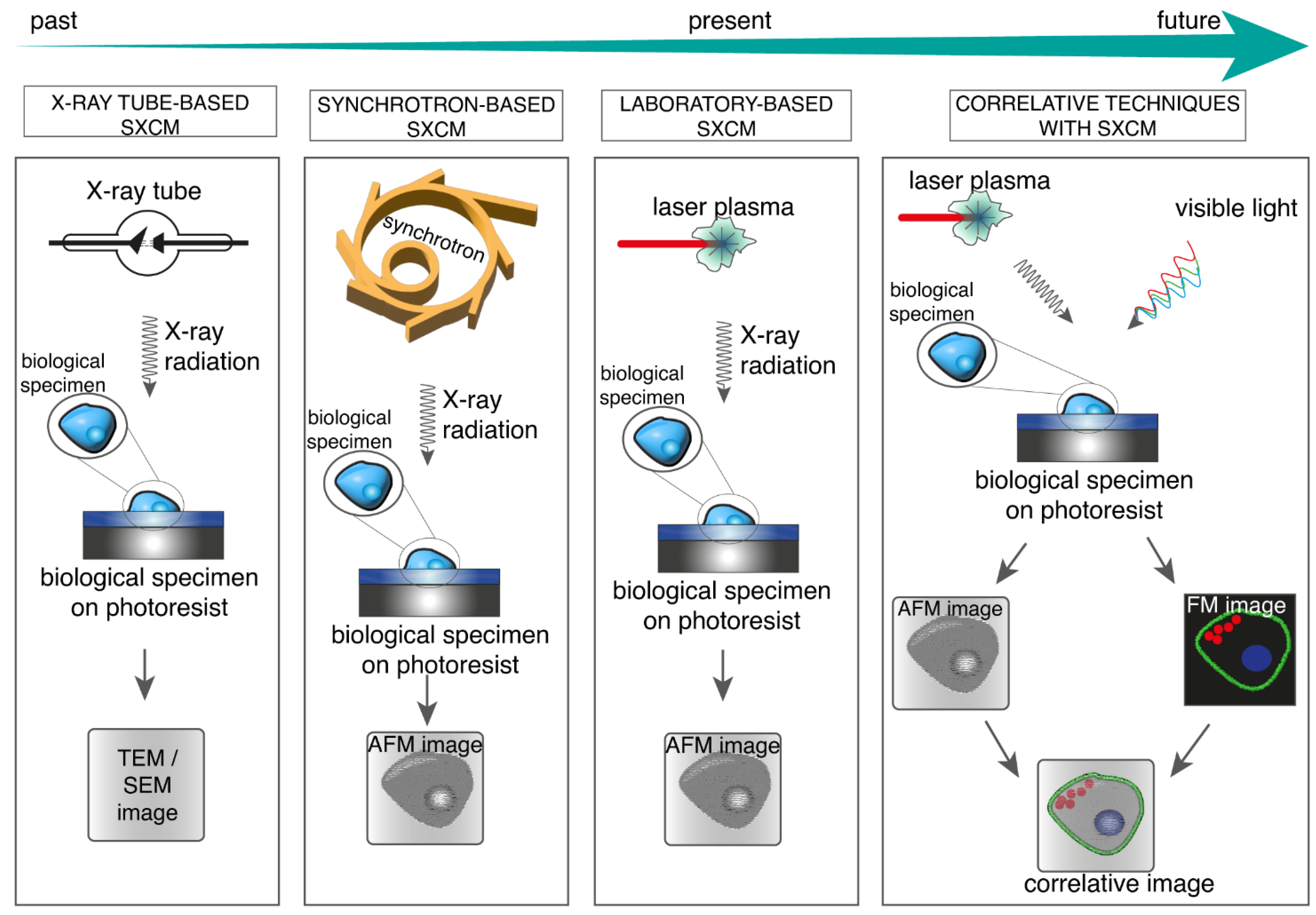 Applsci 12 07030 g005