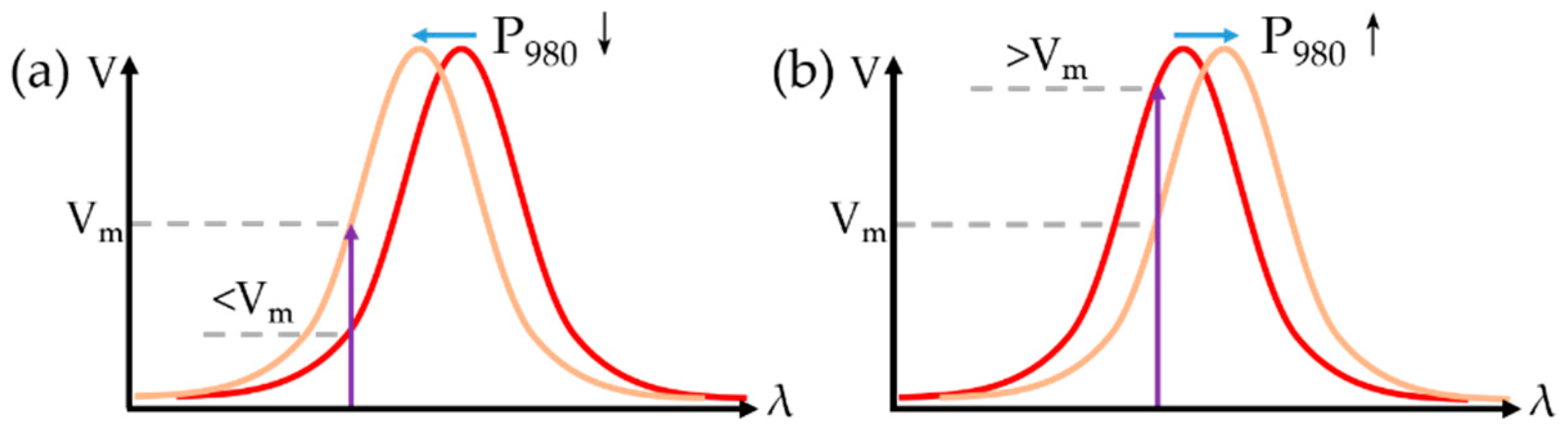 Applsci 12 07049 g006