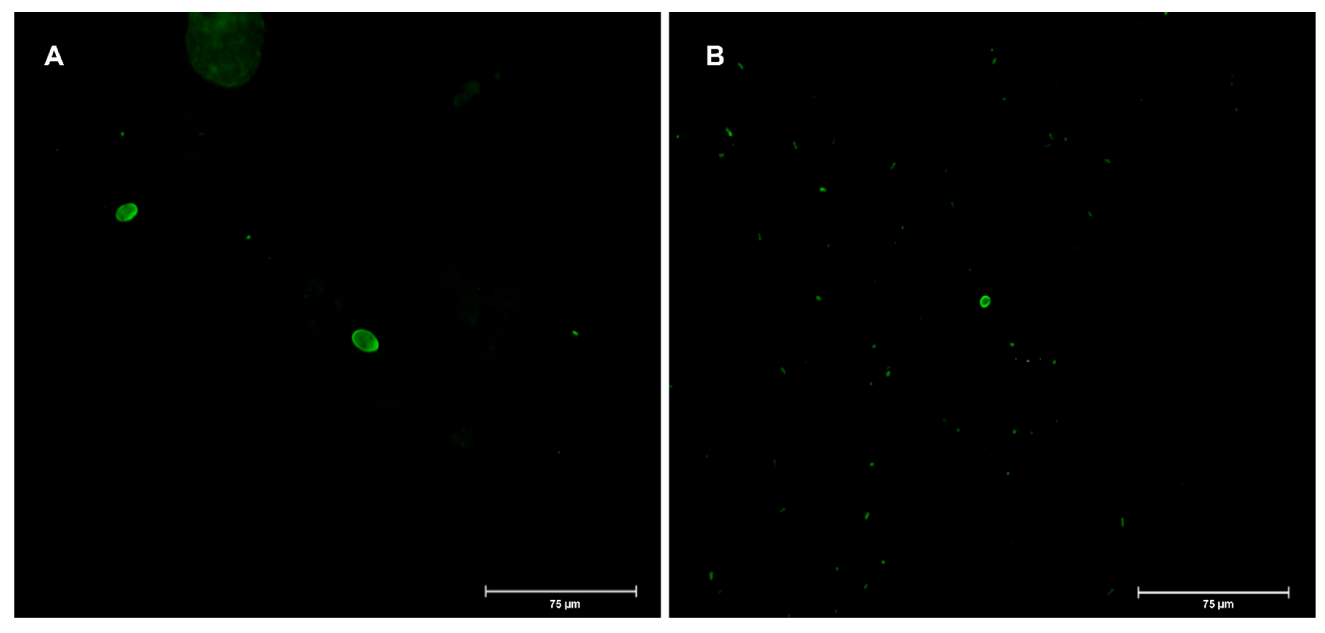 Applsci 12 07145 g001