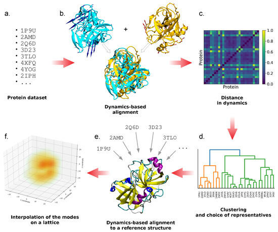 A hierarchy of timescales in protein dynamics is linked to enzyme catalysis