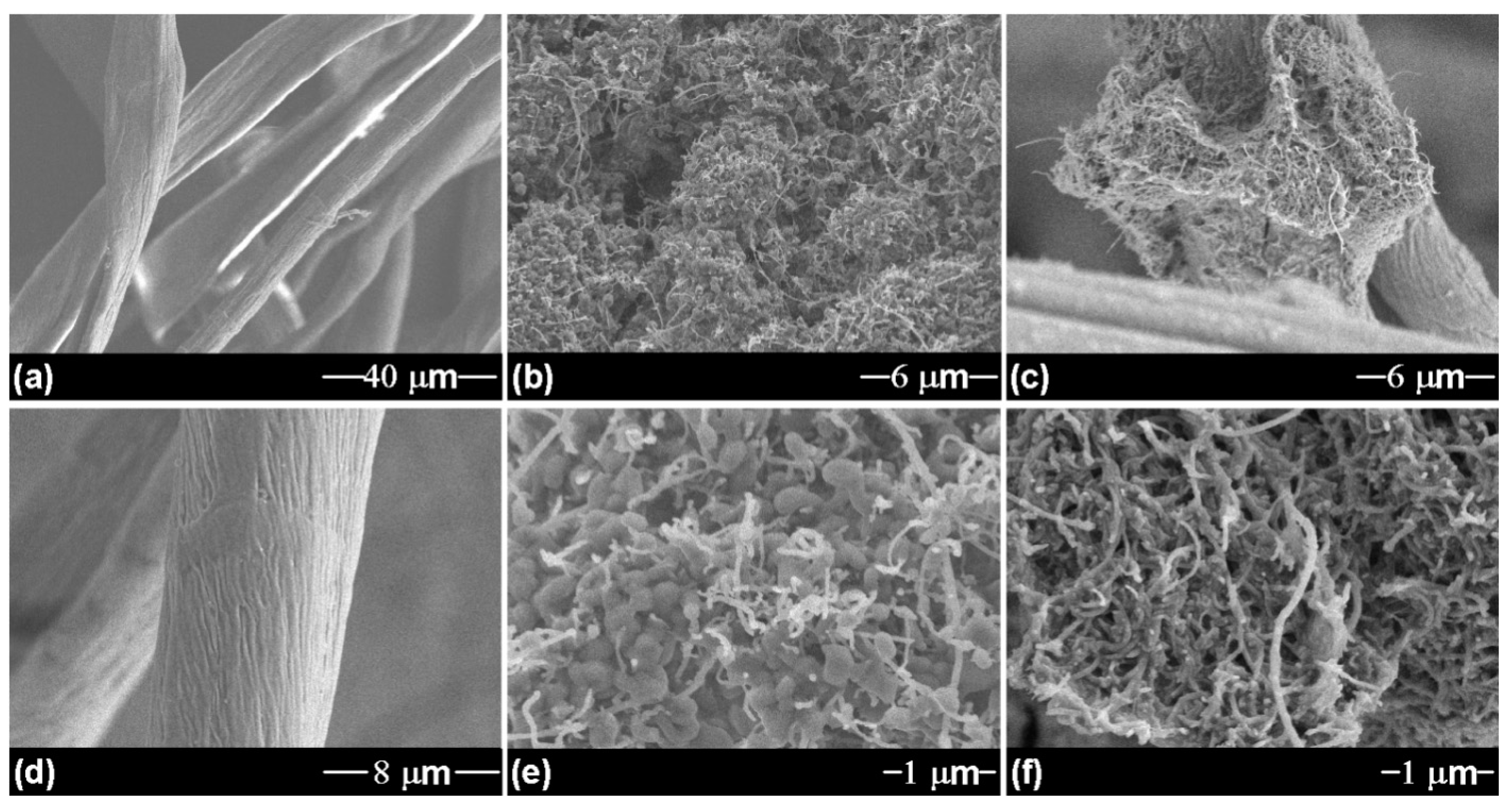 Applsci 12 07285 g002