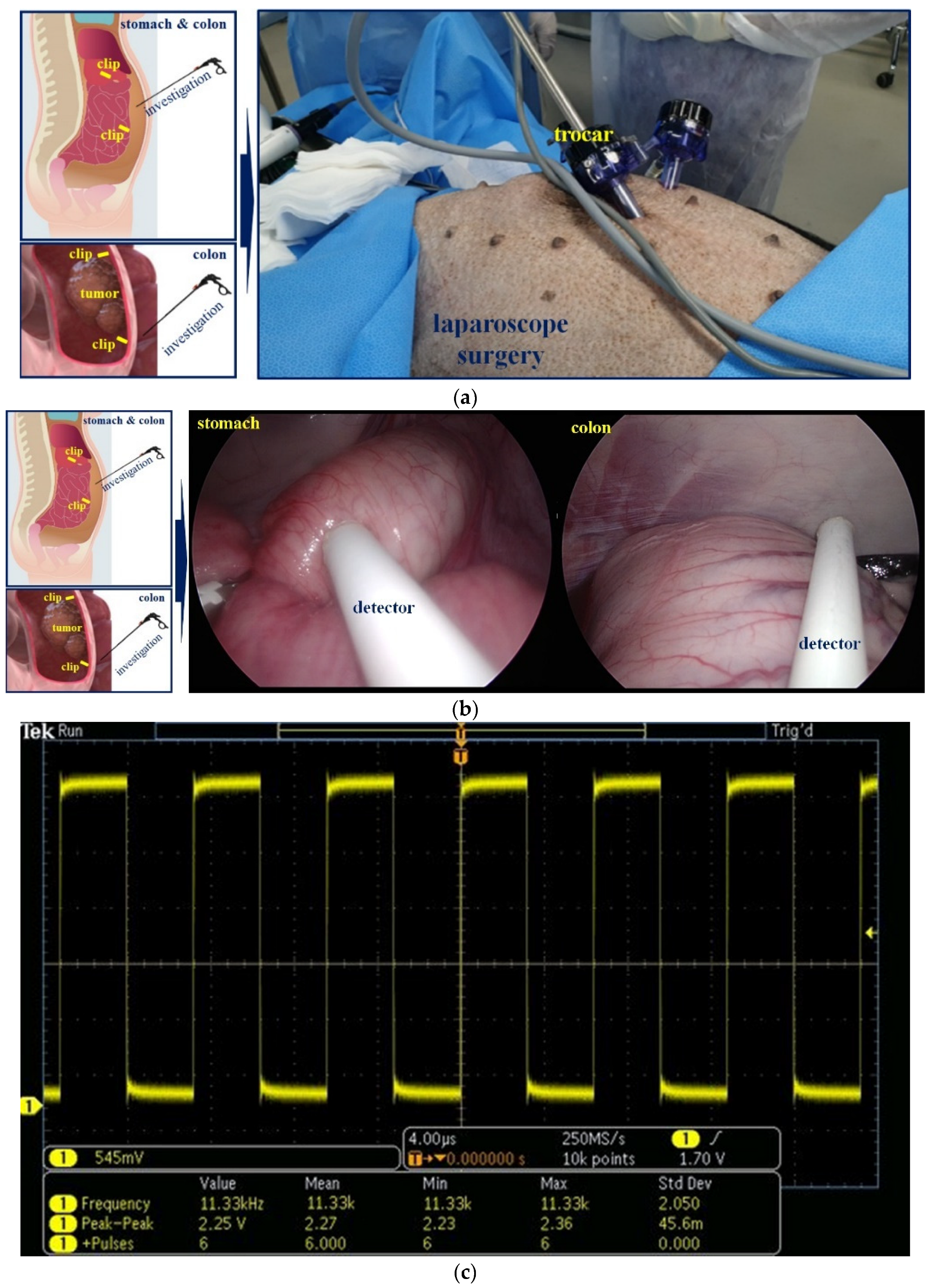 Applsci 12 07330 g015 Applsci 12 07330 g015