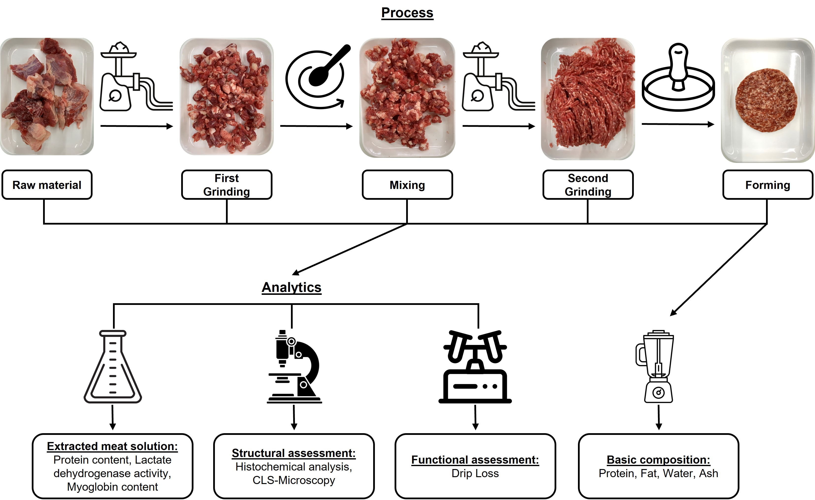 Applied Sciences | Free Full-Text | Influence of Processing Steps on  Structural, Functional, and Quality Properties of Beef Hamburgers | HTML