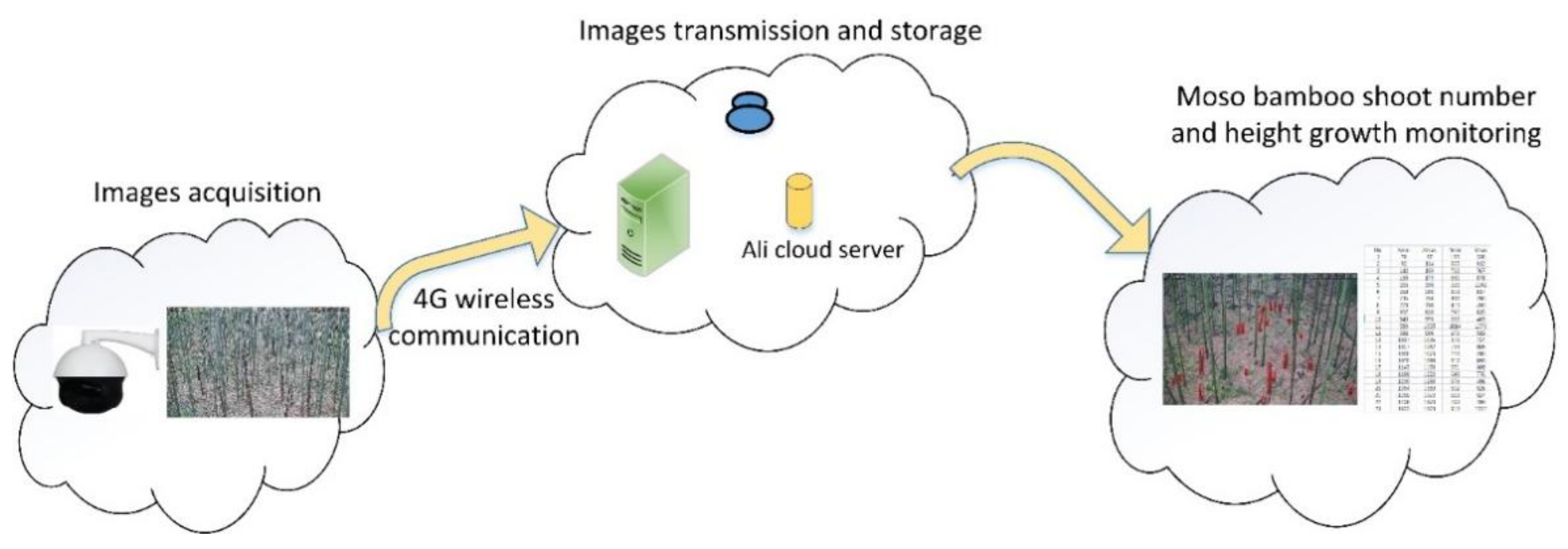 Applsci 12 07389 g001