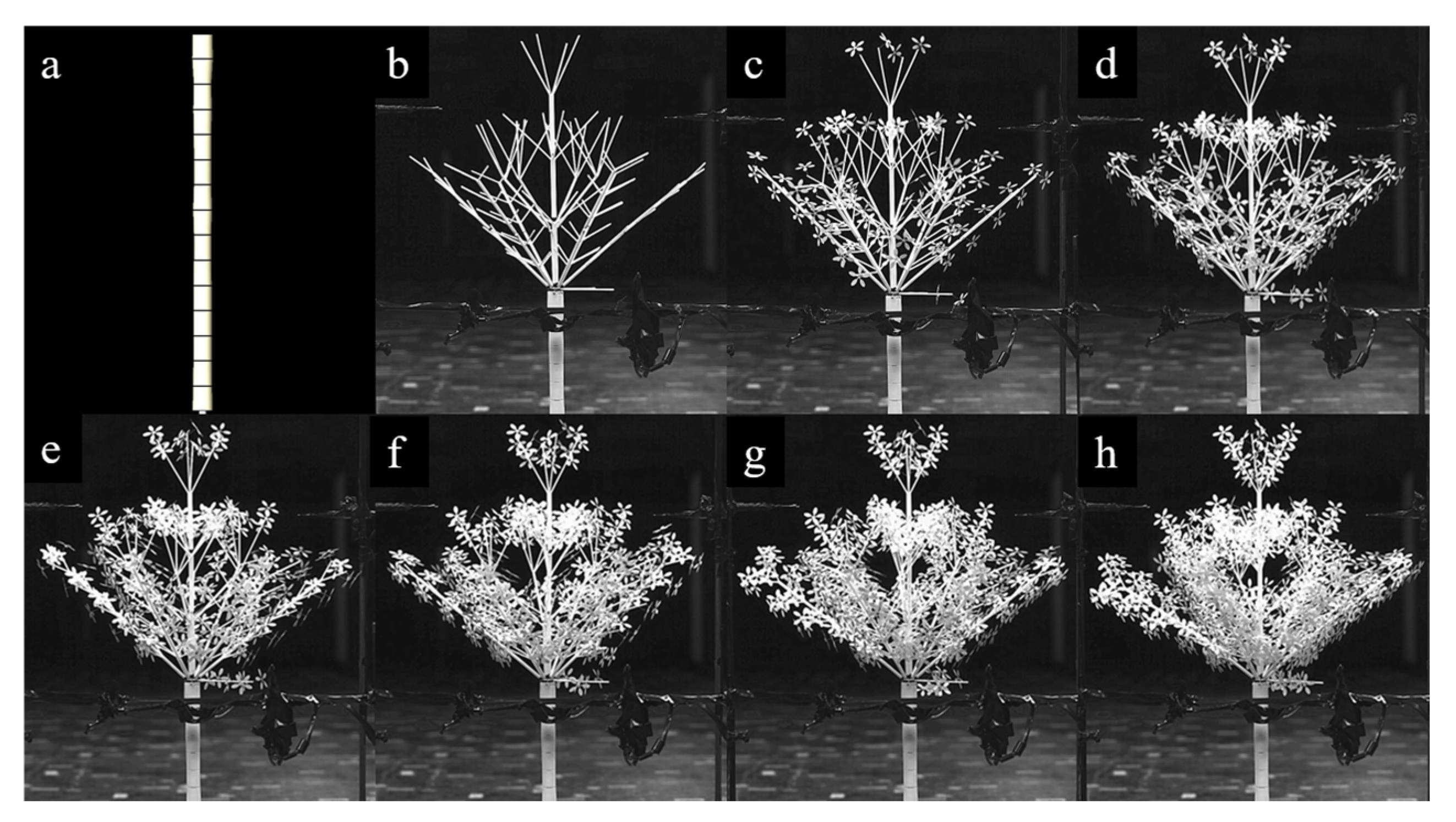 Applsci 12 07432 g007 Applsci 12 07432 g007