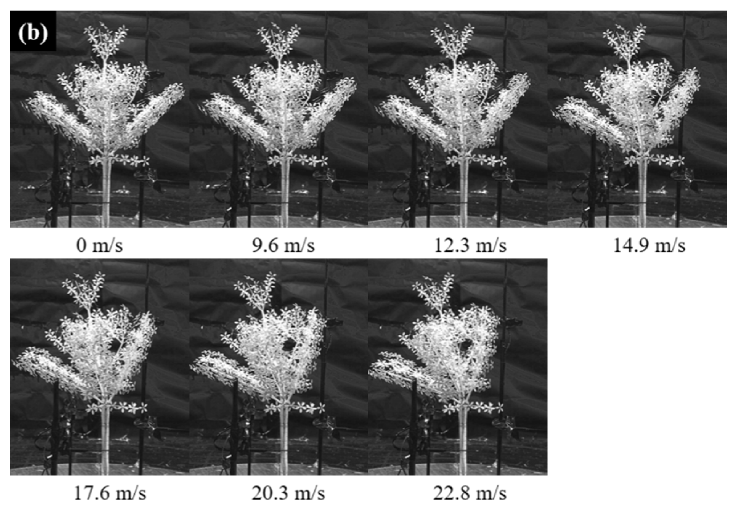 Applsci 12 07432 g010b Applsci 12 07432 g010b