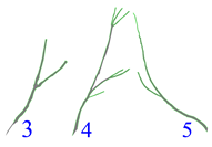 Applsci 12 07432 i008 Applsci 12 07432 i008