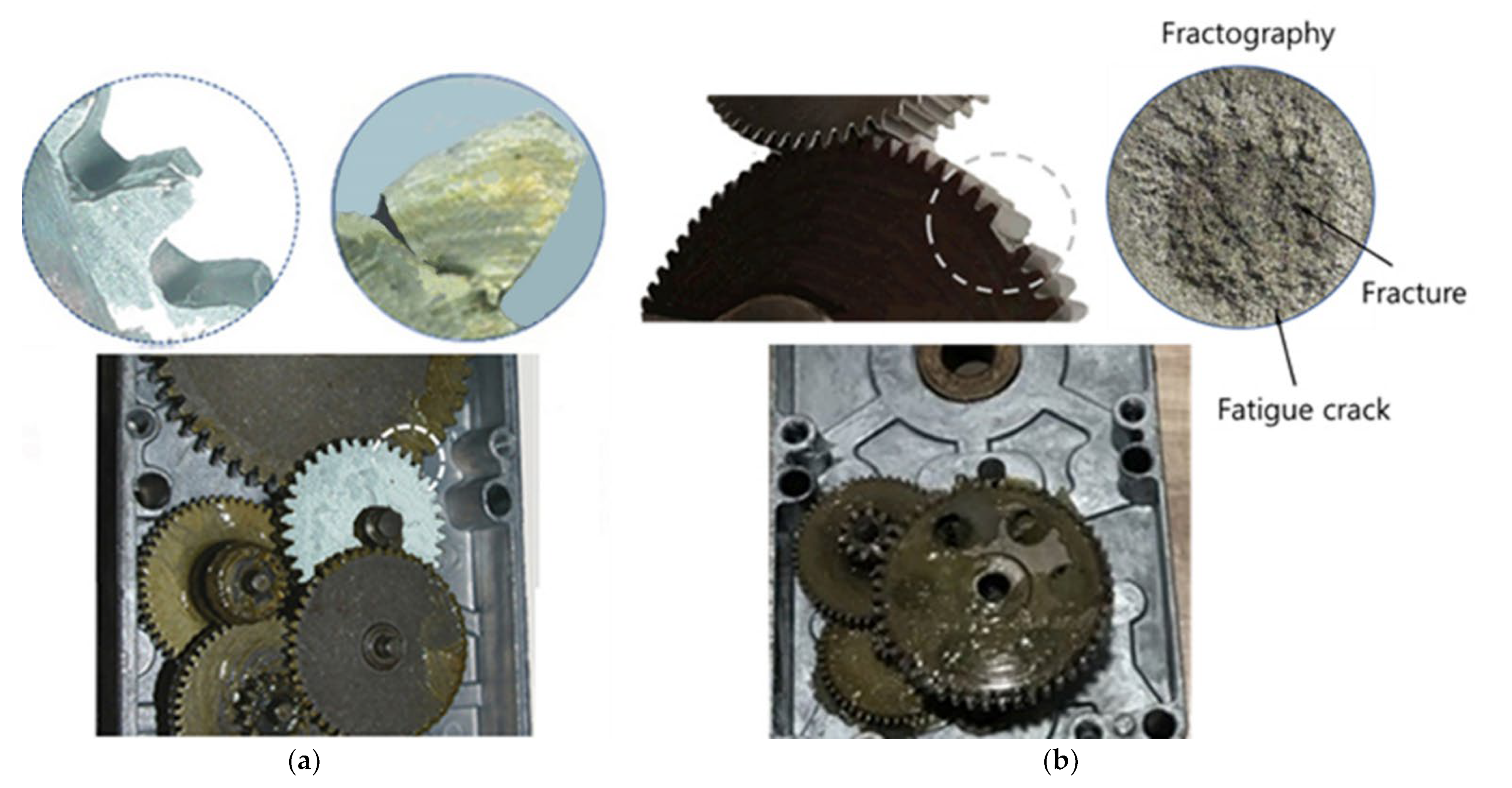 Applsci 12 07484 g012