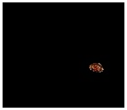 Applsci 12 07542 i020