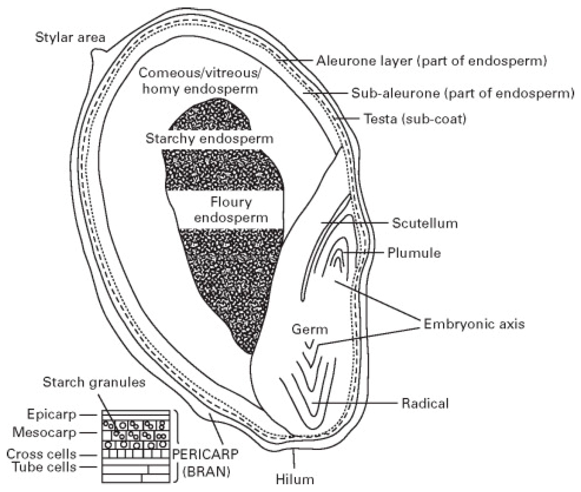 Applsci 12 07630 g002