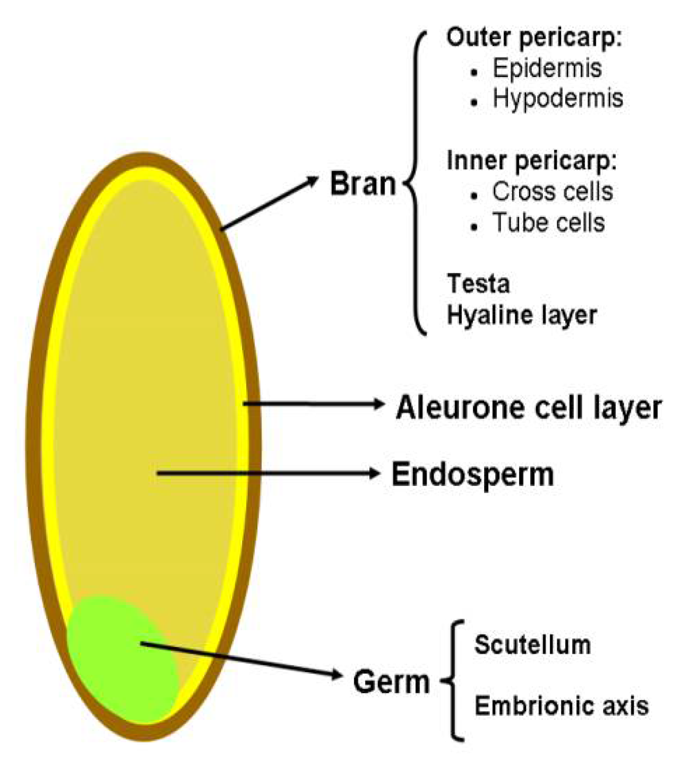 Applsci 12 07735 g001 Applsci 12 07735 g001