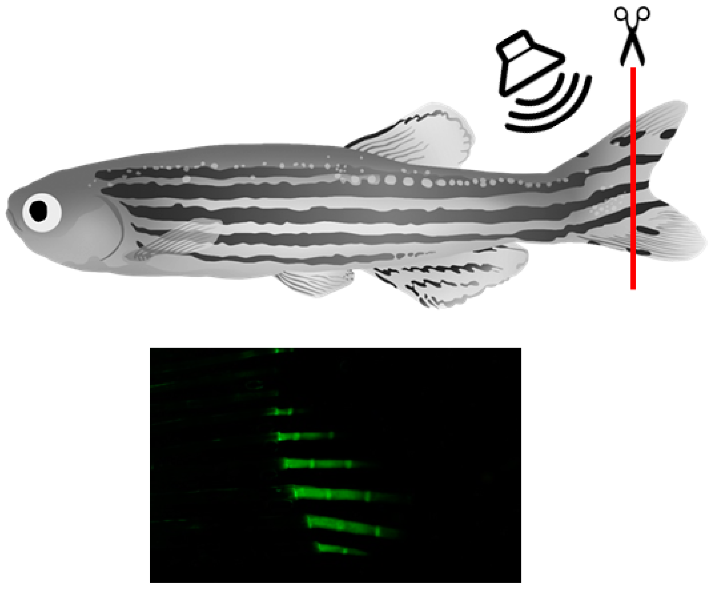 Applsci 12 07768 g002