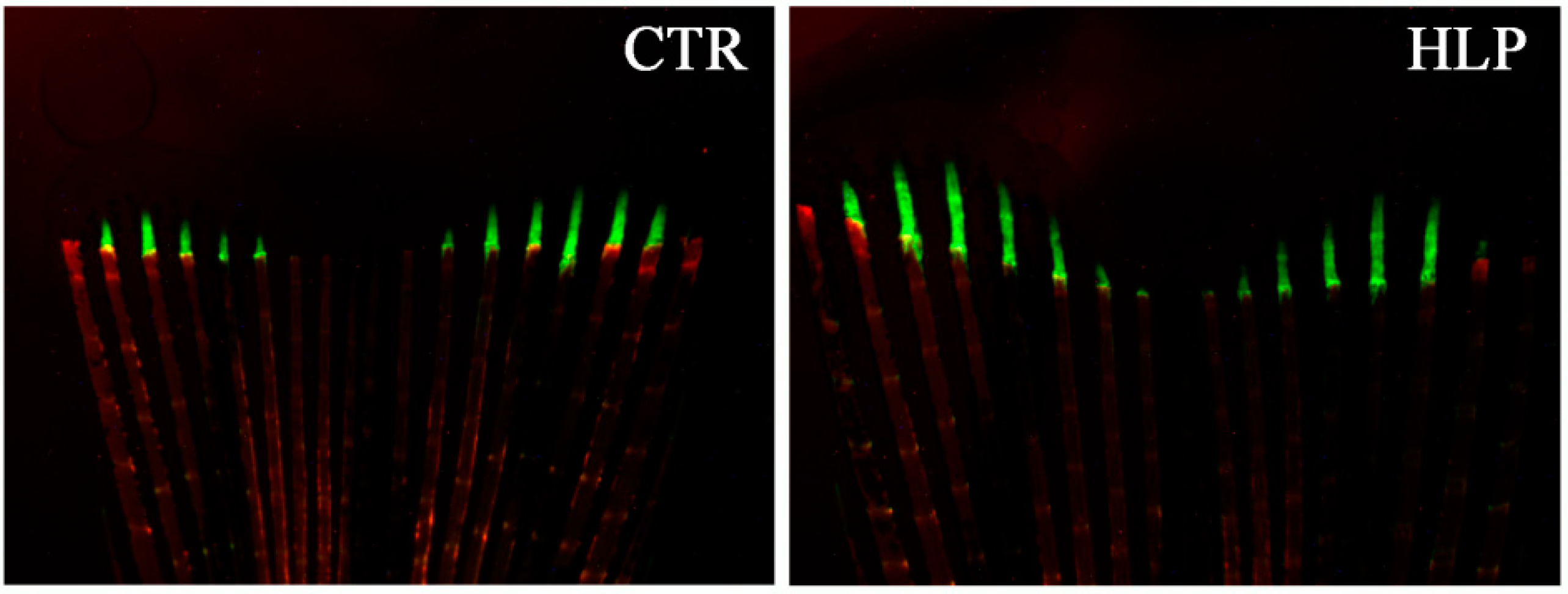 Applsci 12 07768 g004