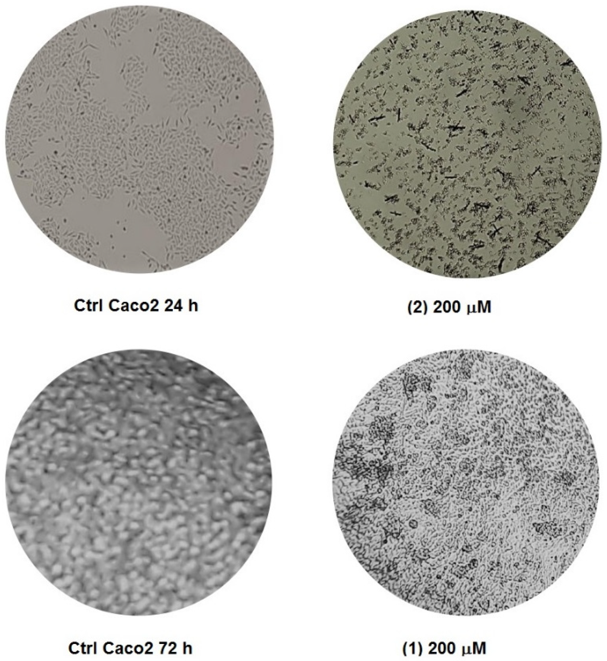 Applsci 12 07779 g006