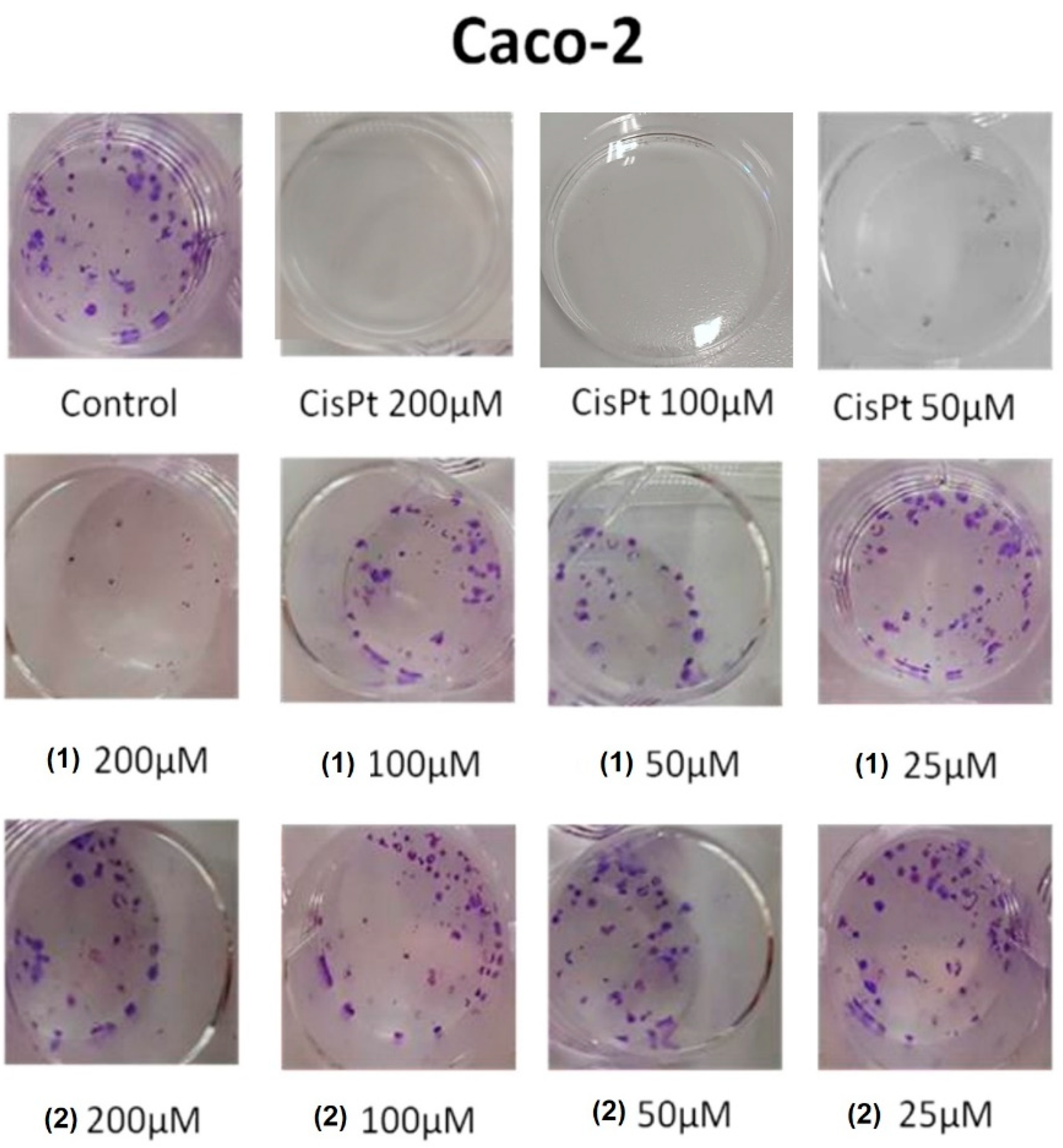 Applsci 12 07779 g008