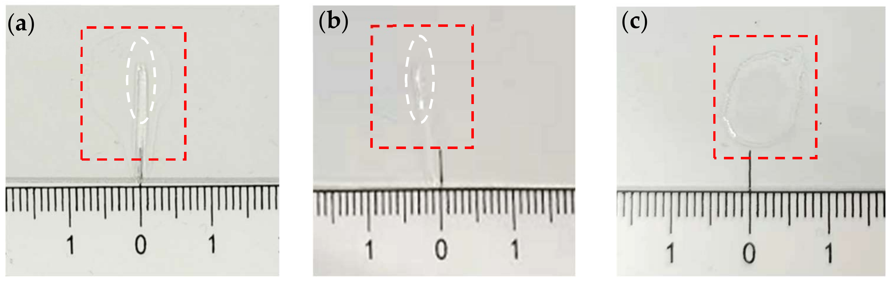 Applsci 12 07799 g002