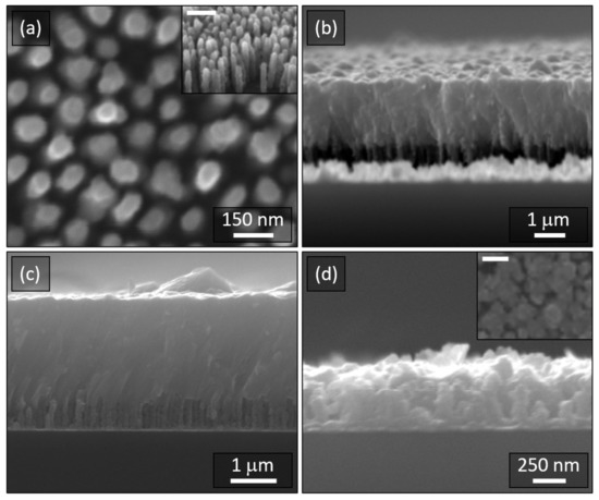 Applied Sciences | Free Full-Text | Effect of the Cadmium Telluride  Deposition Method on the Covering Degree of Electrodes Based on Copper  Nanowire Arrays