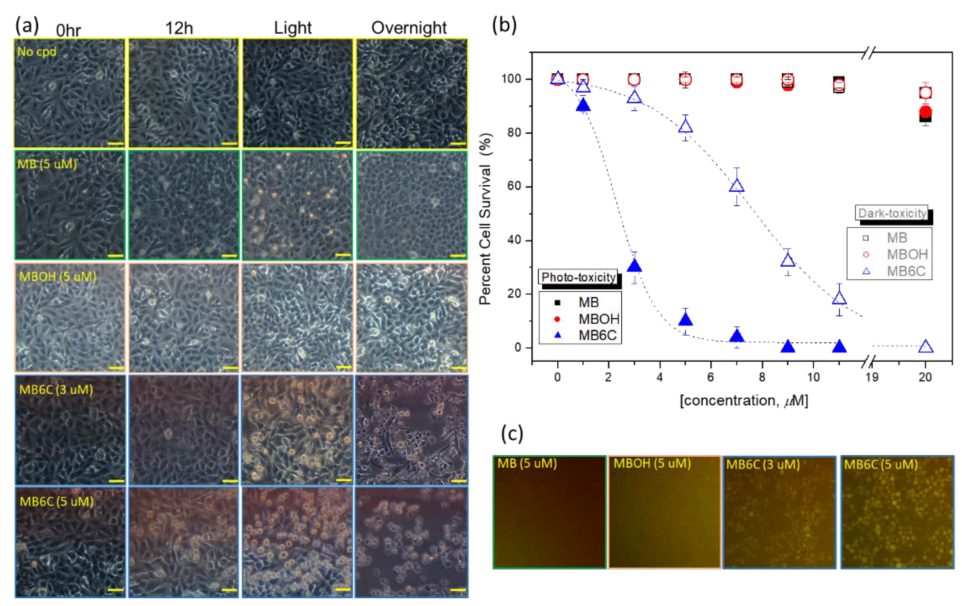 Applsci 12 07819 g006