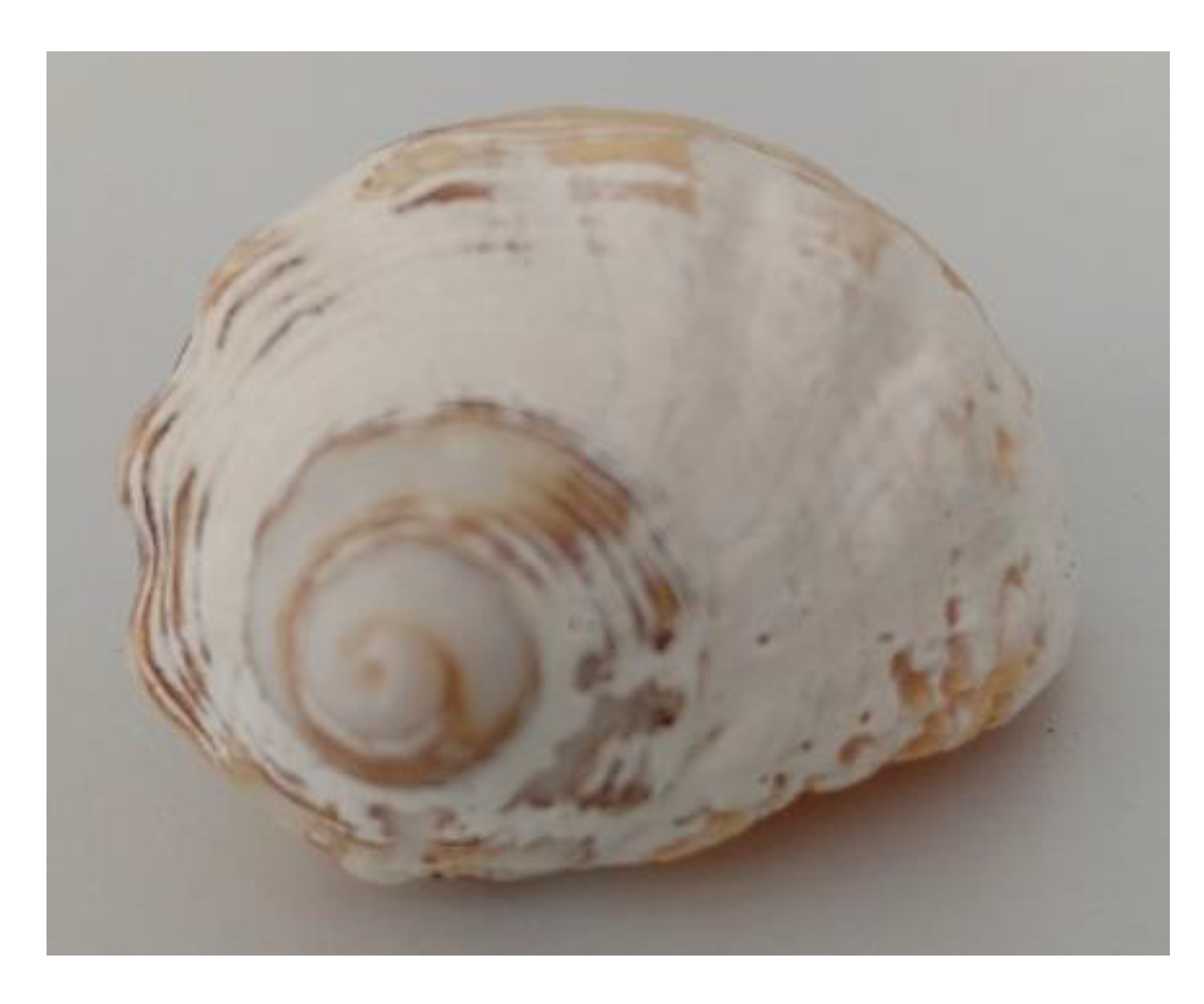 Applsci 12 08037 g004