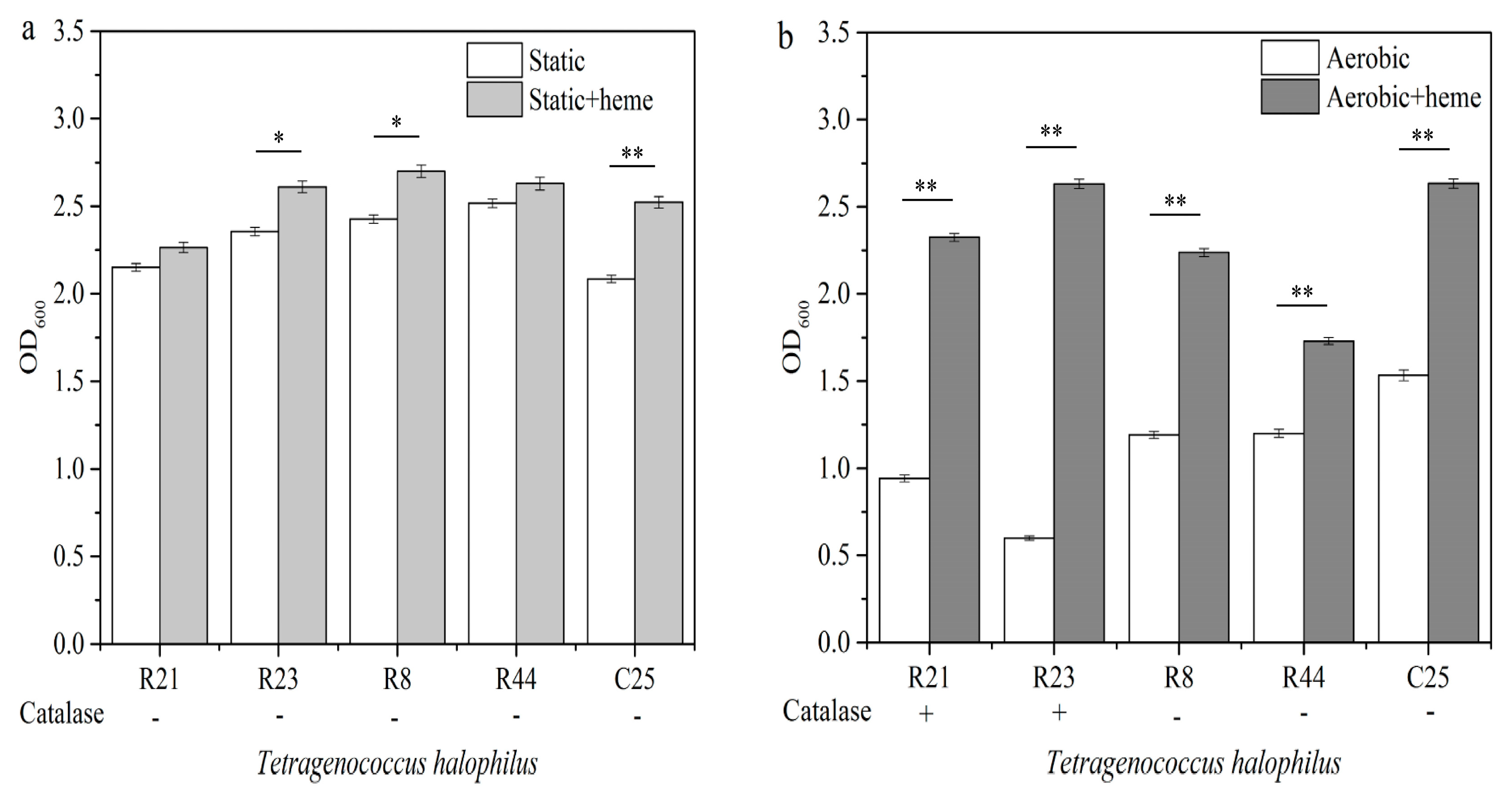 Applsci 12 08039 g004
