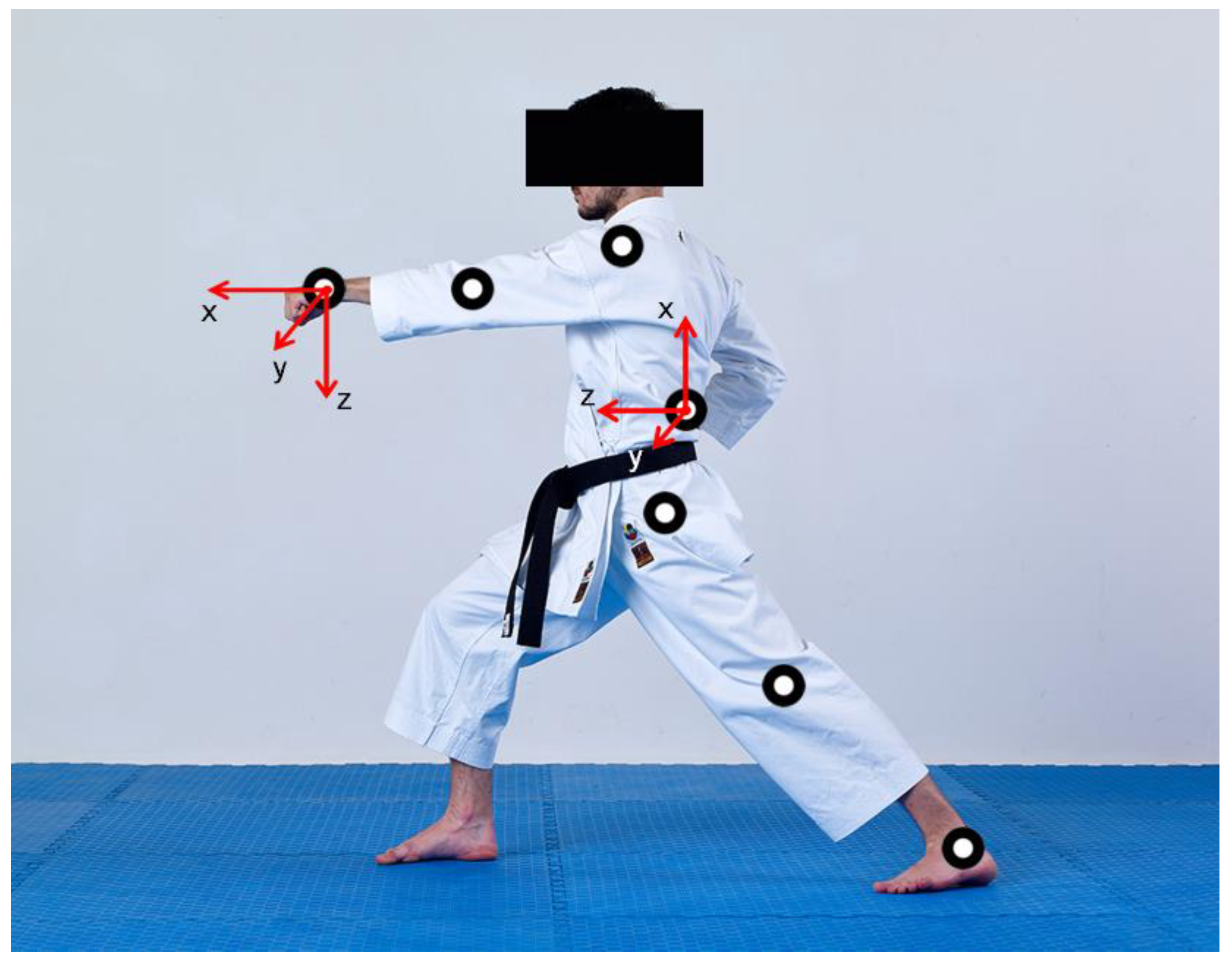 Applied Sciences | Free Full-Text | Specific Test Design for the In-Depth  Technique Analysis of Elite Karate Competitors with the Application of  Kinematic Sensors | HTML