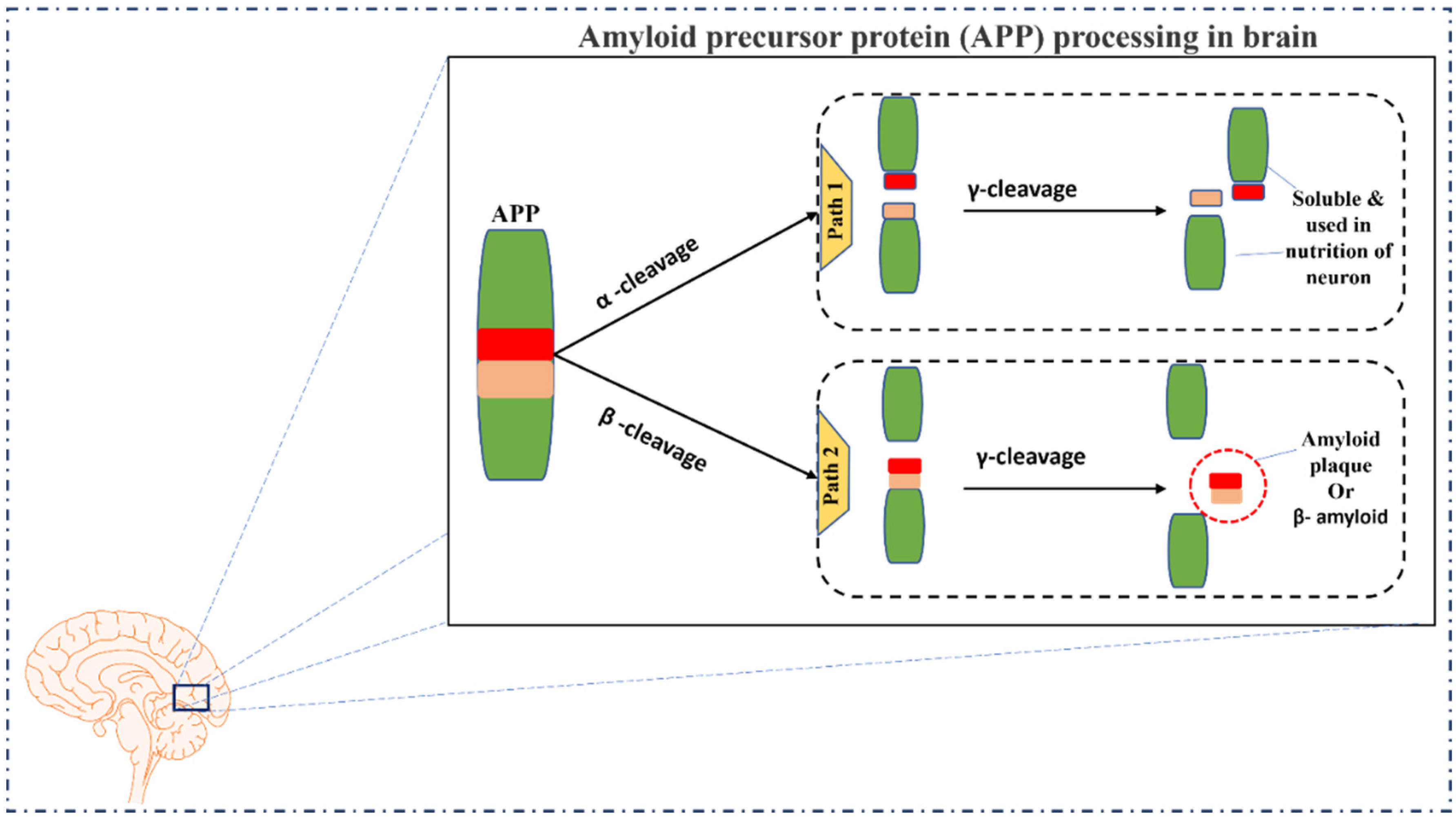 Applsci 12 08096 g002