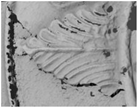 Applsci 12 08131 i013 Applsci 12 08131 i013