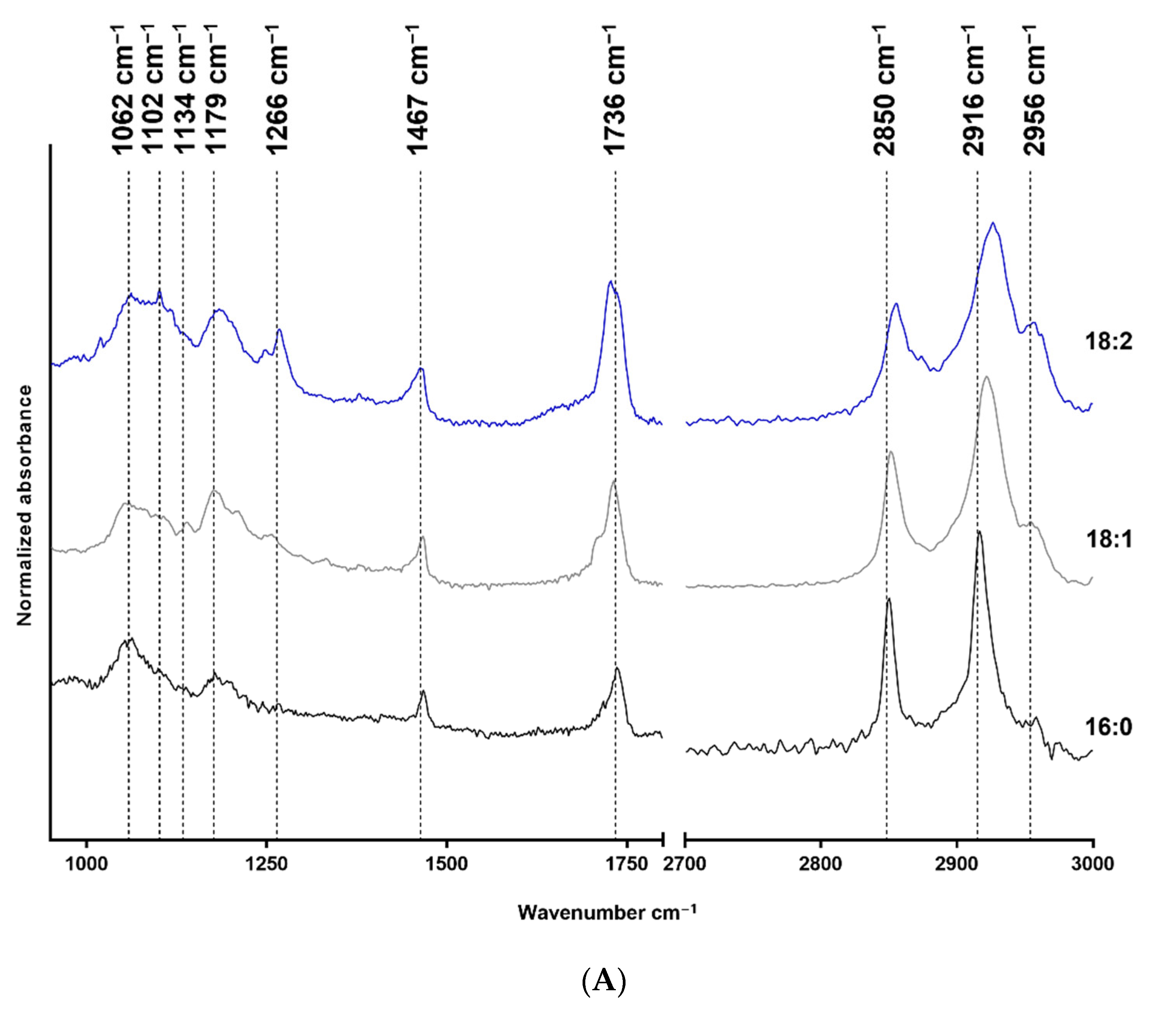 Applsci 12 08183 g001a