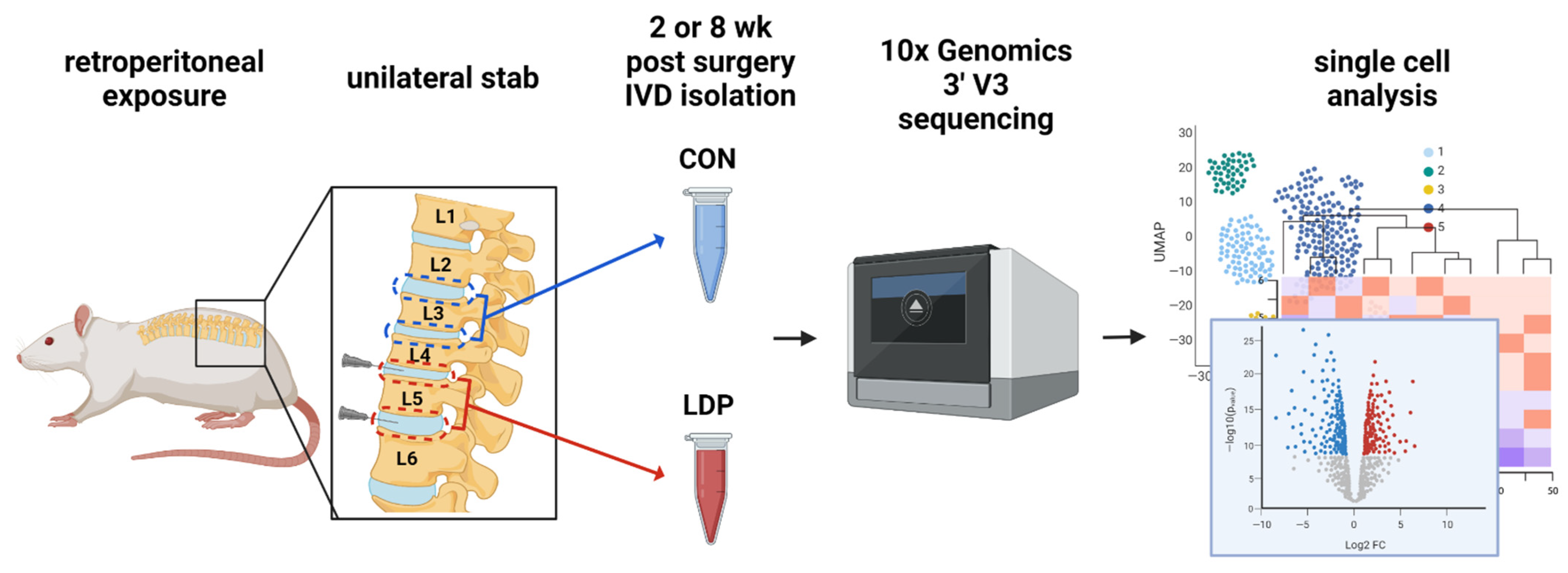 Applsci 12 08244 g001